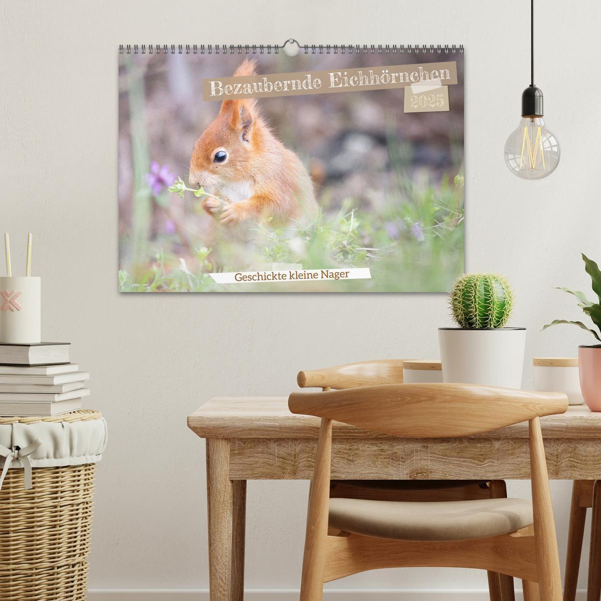 Bild: 9783457177518 | Bezaubernde Eichhörnchen (Wandkalender 2025 DIN A3 quer), CALVENDO...