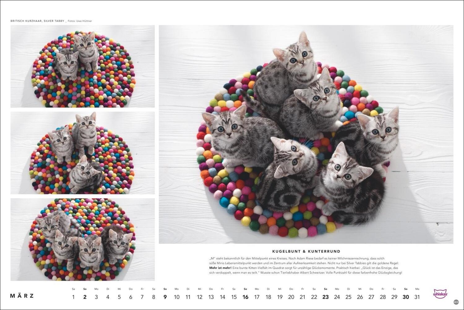 Bild: 9783756404971 | Whiskas Katzenkalender 2025 | Heye | Kalender | Spiralbindung | 14 S.