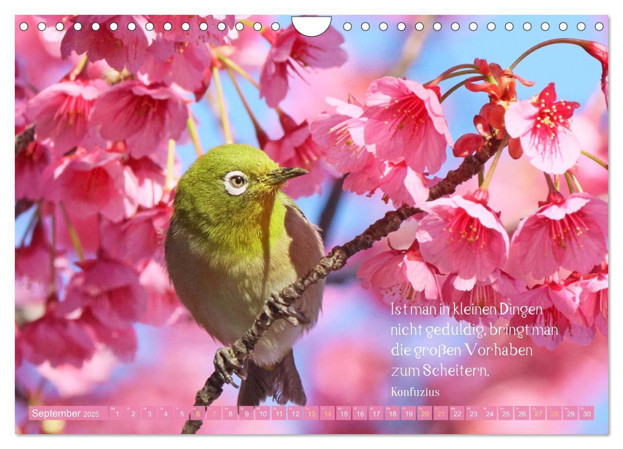 Bild: 9783383855191 | Natur-Meditationen - Nimm Dir Zeit (Wandkalender 2025 DIN A4 quer),...