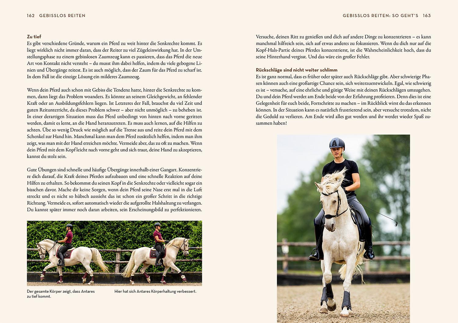 Bild: 9783440179956 | Gebisslos Reiten | Jesse Drent | Buch | 224 S. | Deutsch | 2024