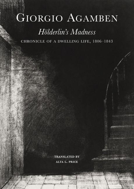 Cover: 9781803094427 | Hölderlin's Madness | Chronicle of a Dwelling Life, 1806-1843 | Buch