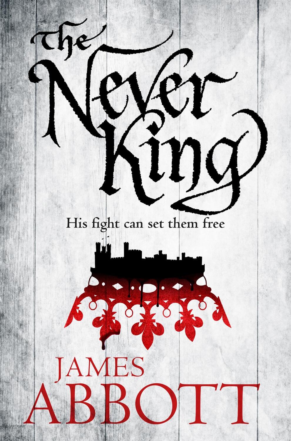 Cover: 9781509803118 | The Never King | James Abbott | Taschenbuch | 499 S. | Englisch | 2017