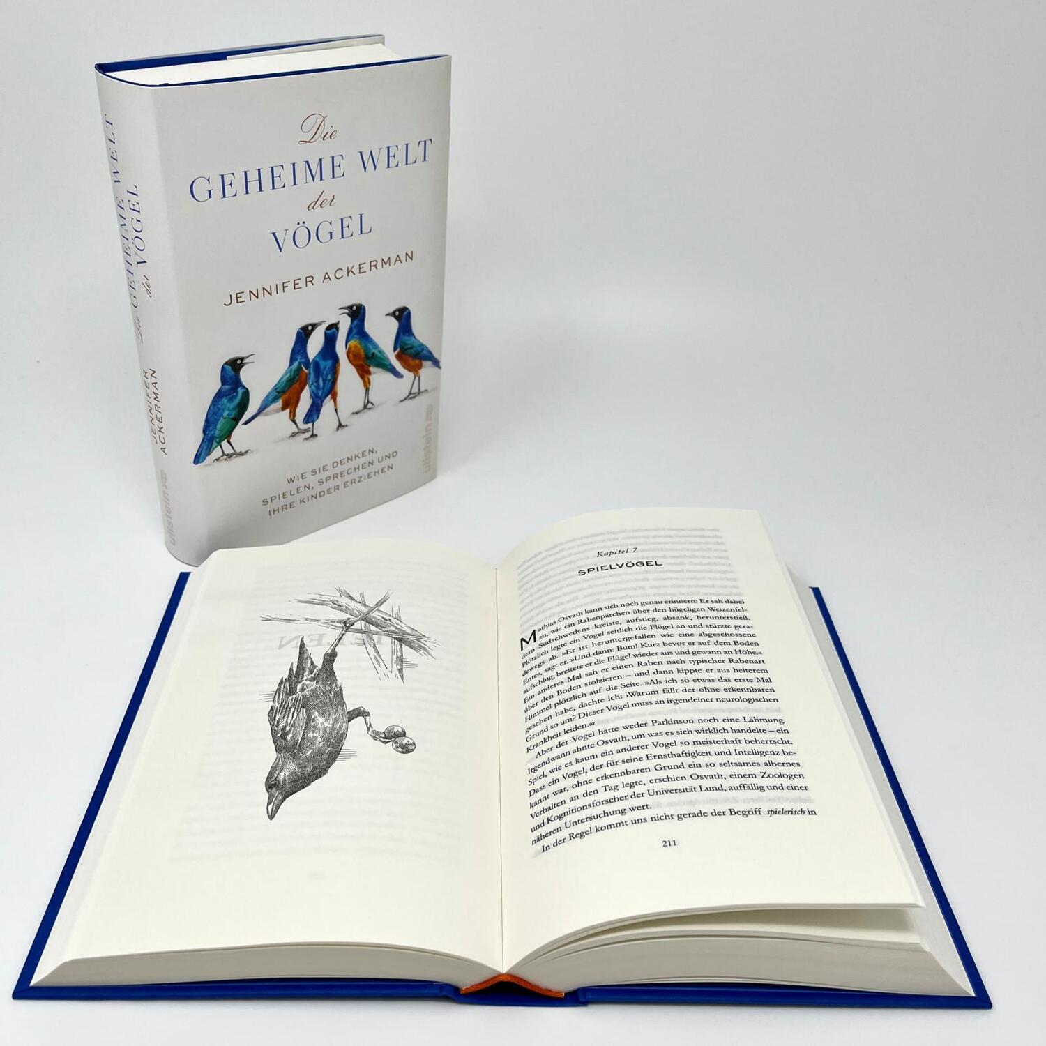 Bild: 9783550201318 | Die geheime Welt der Vögel | Jennifer Ackerman | Buch | 528 S. | 2023