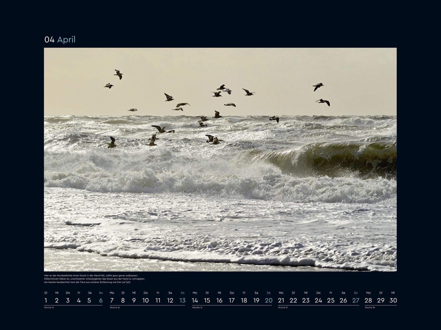 Bild: 9783965913592 | Wilde Nordsee - KUNTH Wandkalender 2025 | Kalender | 14 S. | Deutsch