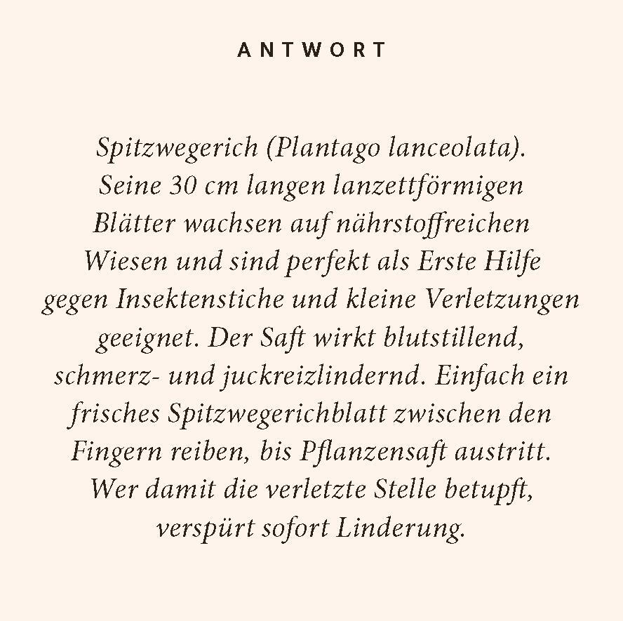 Bild: 9783899784596 | Kräuter-Quiz | 100 Fragen und Antworten | Nicole Steffens | Buch