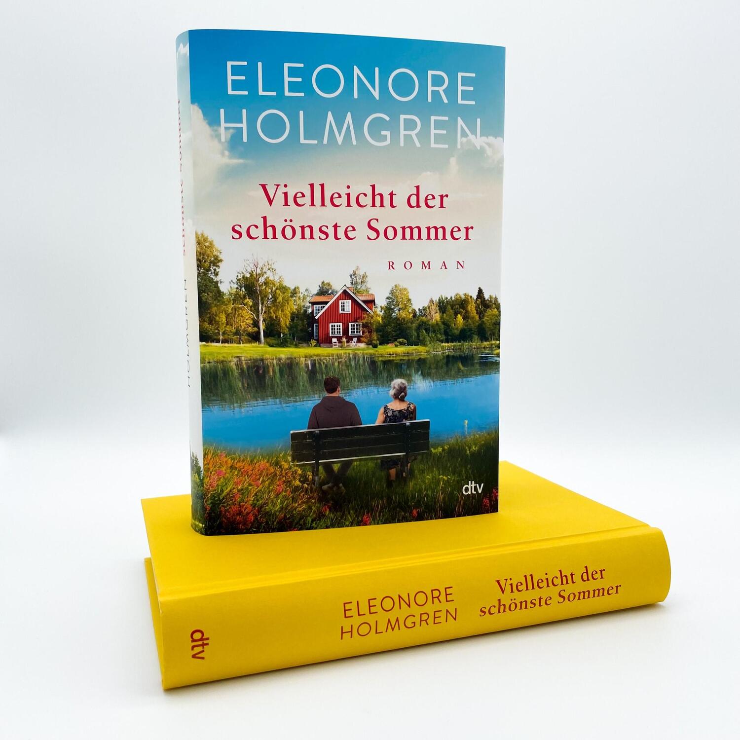 Bild: 9783423283366 | Vielleicht der schönste Sommer | Eleonore Holmgren | Buch | 336 S.