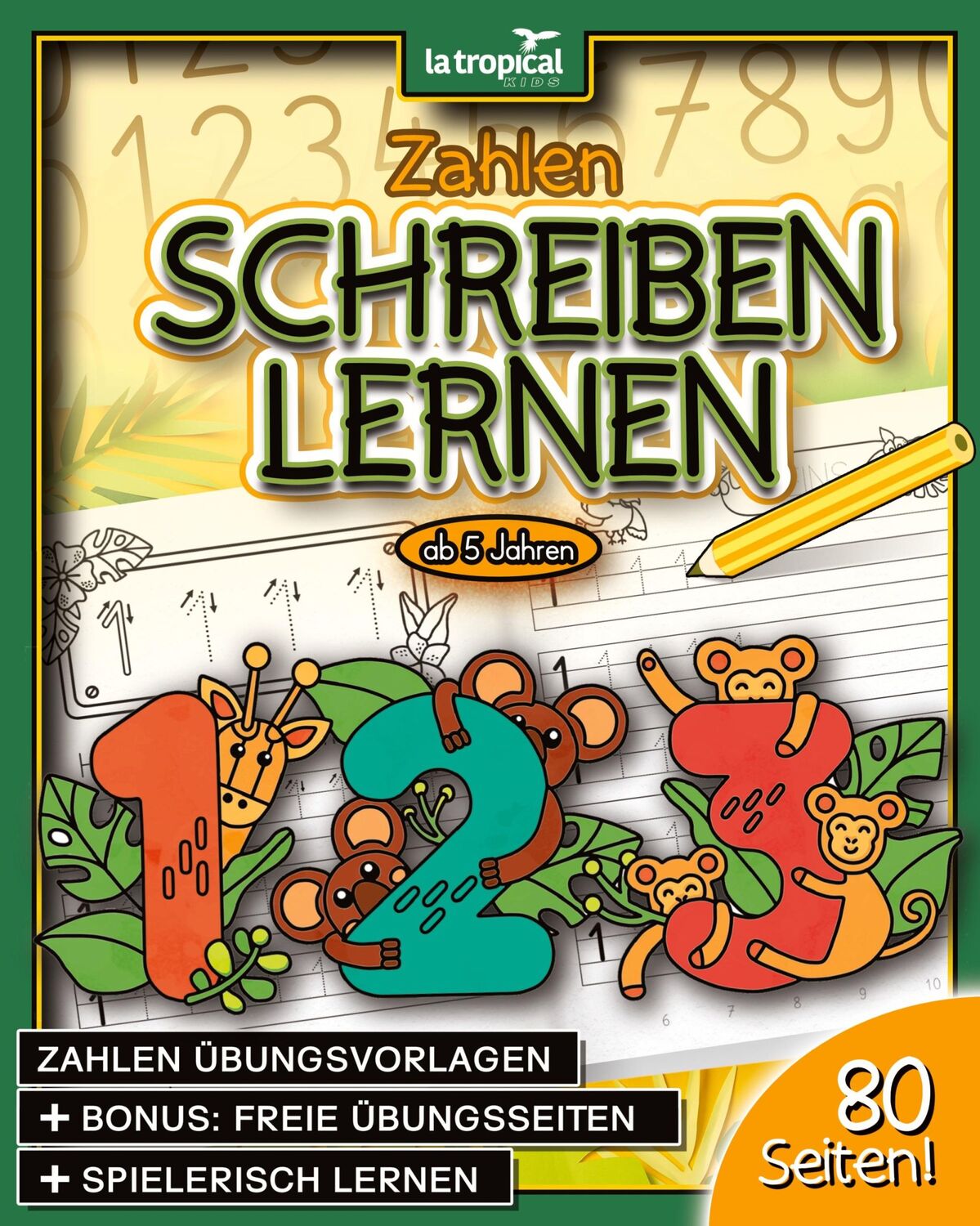 Cover: 9783969080467 | Zahlen schreiben lernen ab 5 Jahren | David Ludwig | Taschenbuch