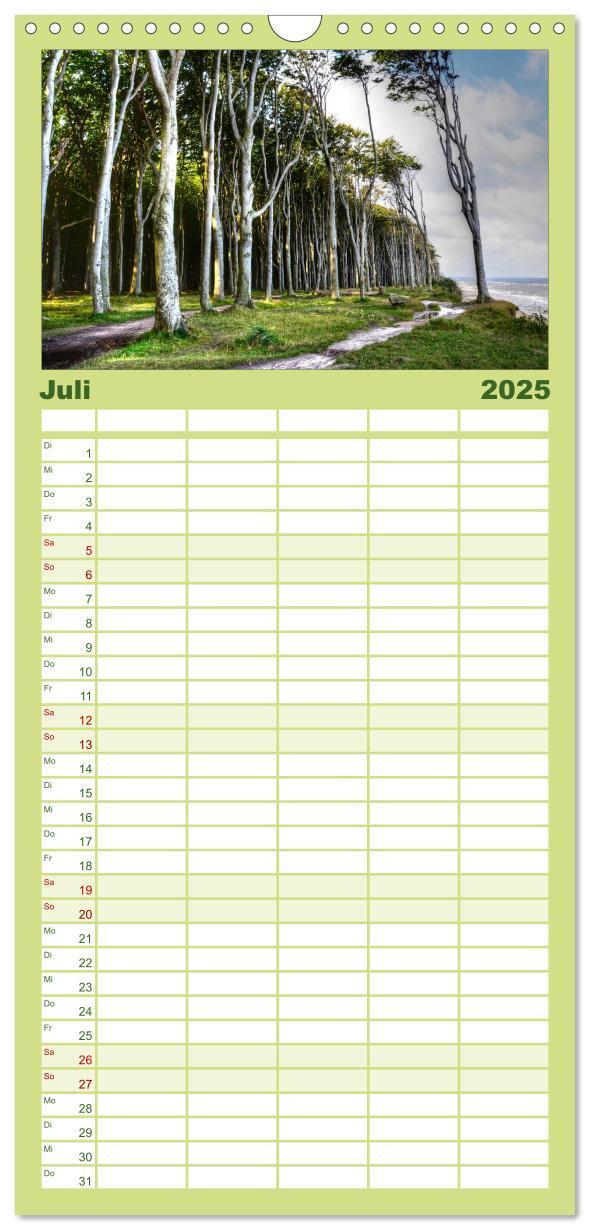 Bild: 9783457126318 | Familienplaner 2025 - Baum-Variationen mit 5 Spalten (Wandkalender,...