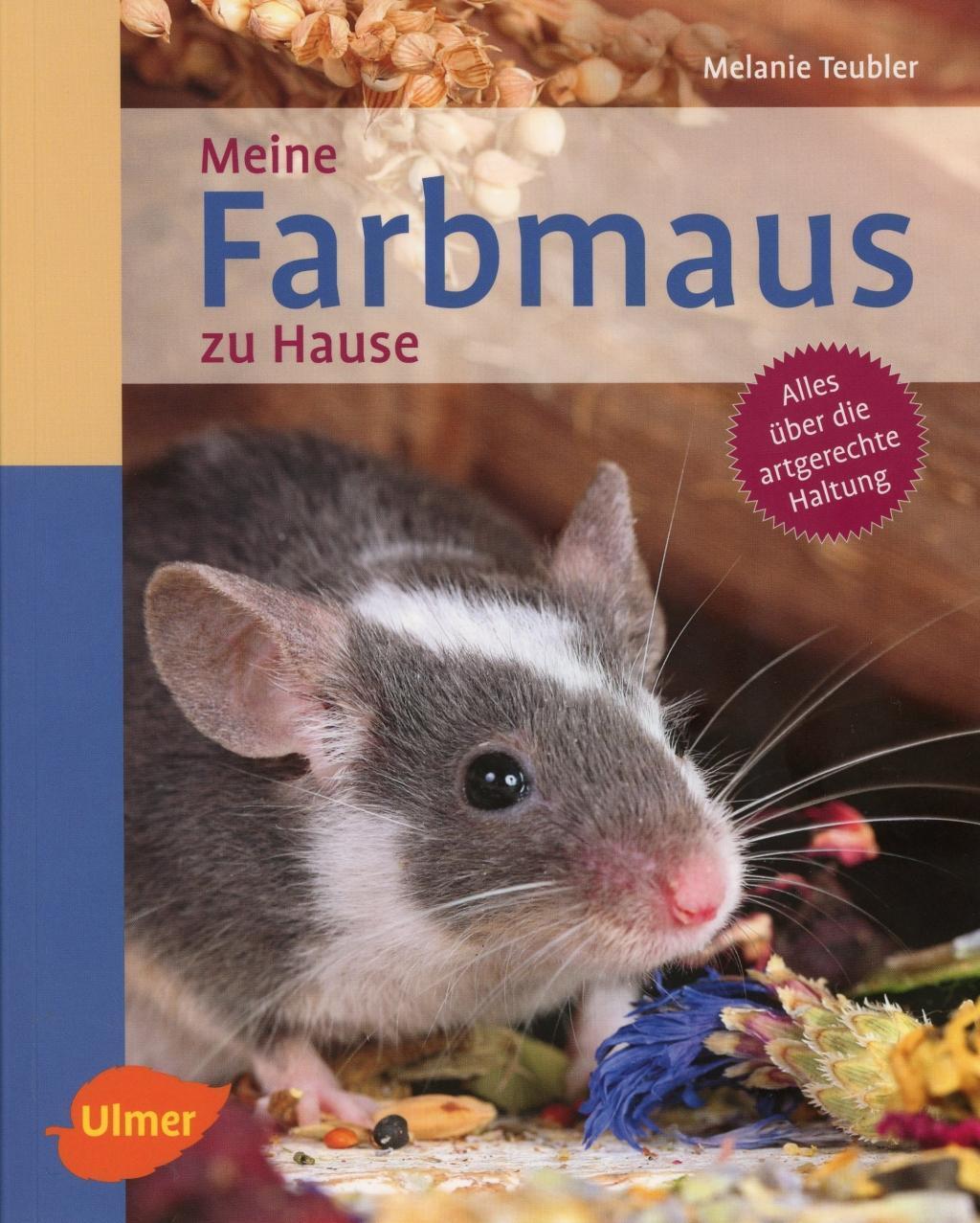 Cover: 9783818601041 | Meine Farbmaus zu Hause | Alles über die artgerechte Haltung | Teubler