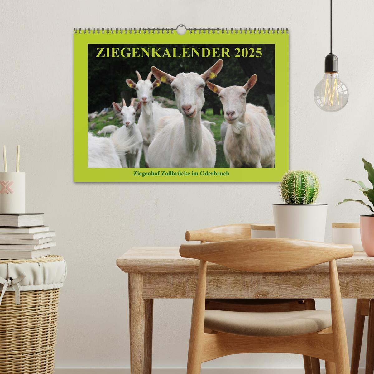 Bild: 9783435341443 | Ziegenkalender 2025 (Wandkalender 2025 DIN A3 quer), CALVENDO...