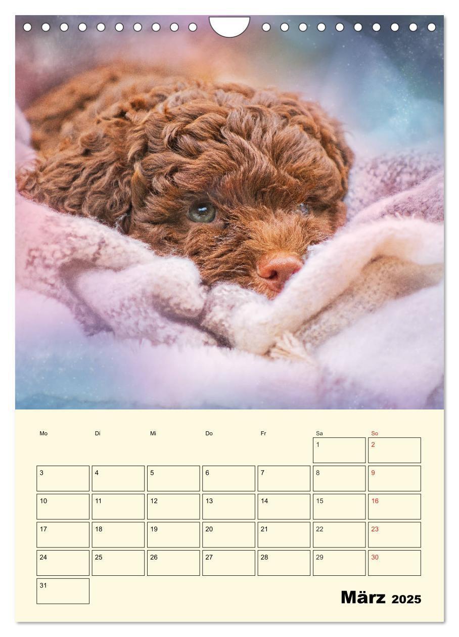 Bild: 9783435952618 | Jahresplaner Lagotto Romagnolo Welpen (Wandkalender 2025 DIN A4...