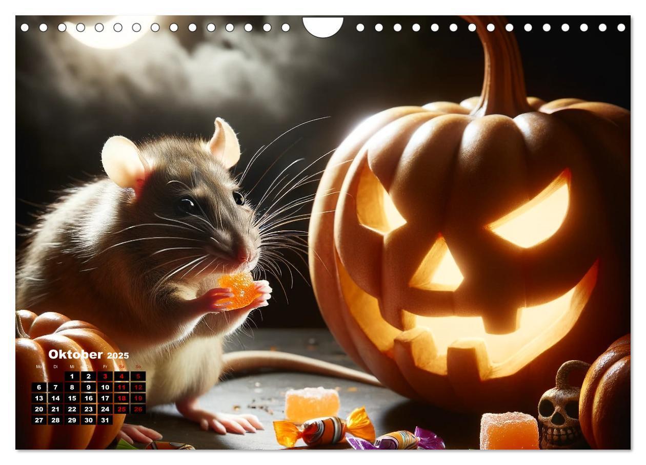 Bild: 9783383837357 | Lustige Ratten (Wandkalender 2025 DIN A4 quer), CALVENDO...