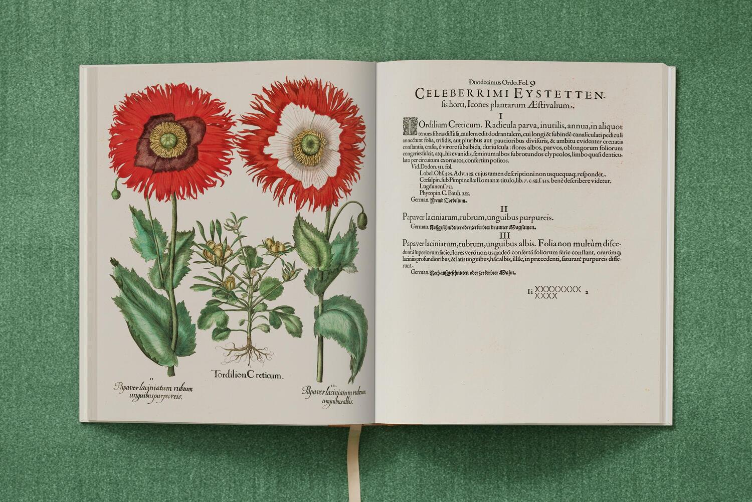 Bild: 9783836594332 | Basilius Besler. The Garden at Eichstätt | Littger (u. a.) | Buch