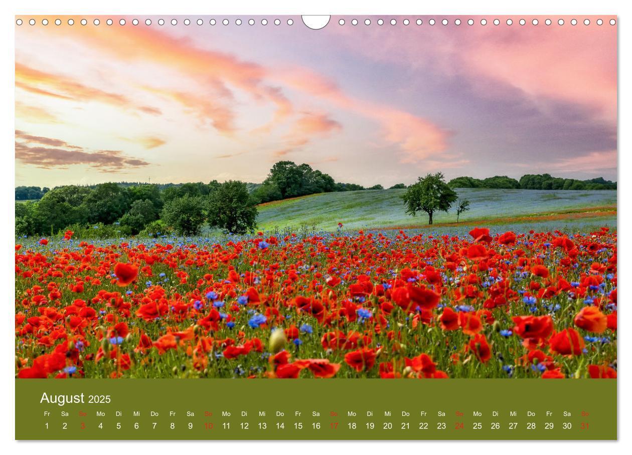 Bild: 9783435122516 | Mohnblumen Romantik (Wandkalender 2025 DIN A3 quer), CALVENDO...