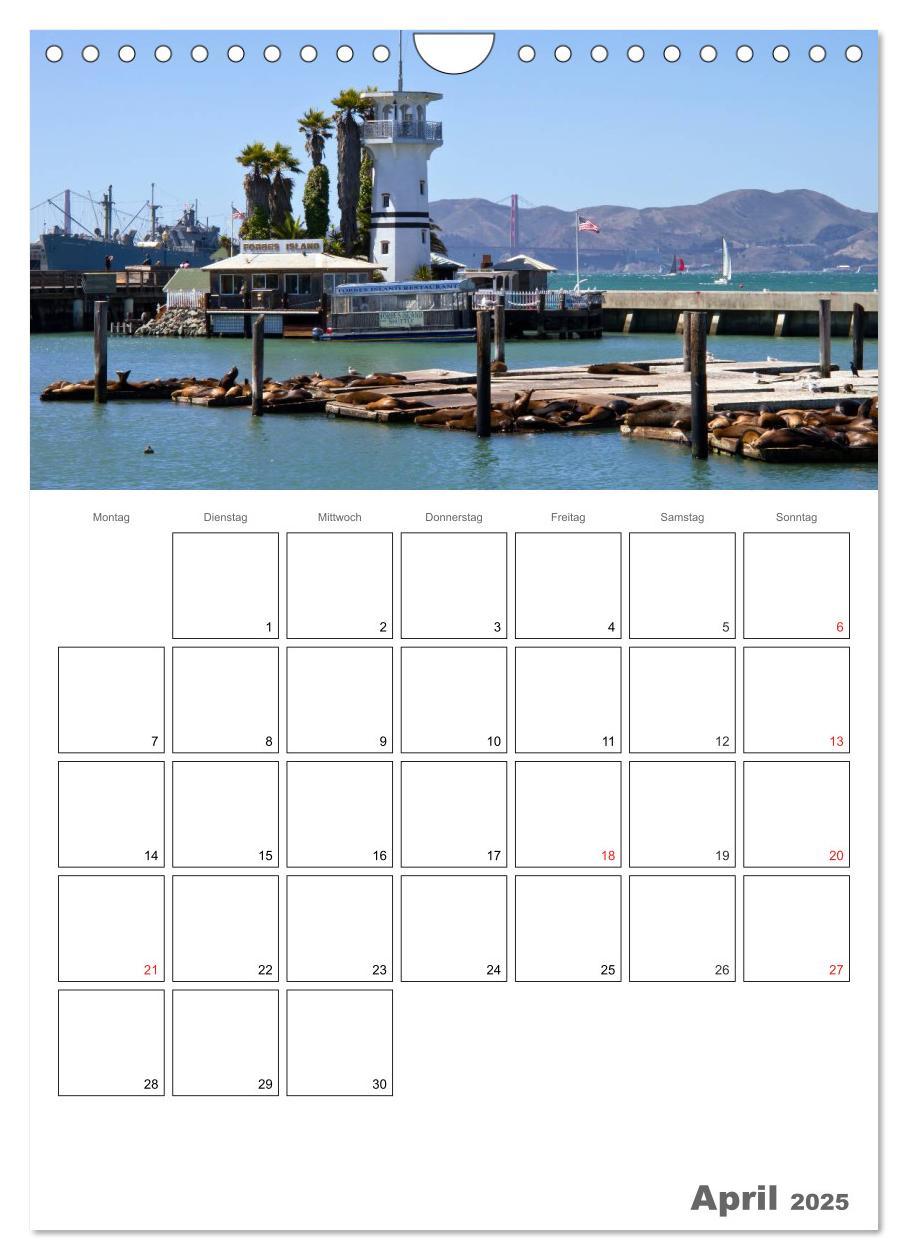 Bild: 9783457029183 | SAN FRANCISCO Terminplaner (Wandkalender 2025 DIN A4 hoch),...