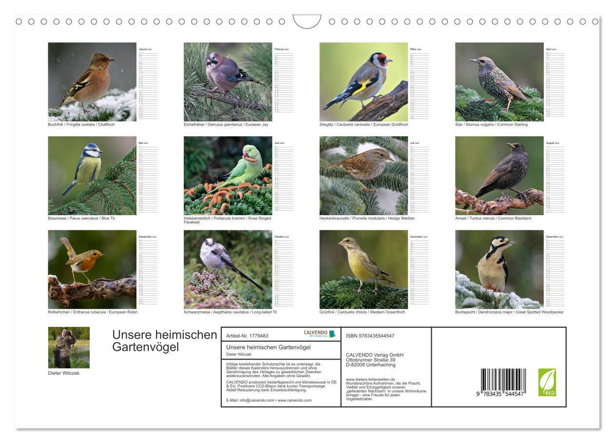 Bild: 9783435544547 | Unsere heimischen Gartenvögel (Wandkalender 2025 DIN A3 quer),...