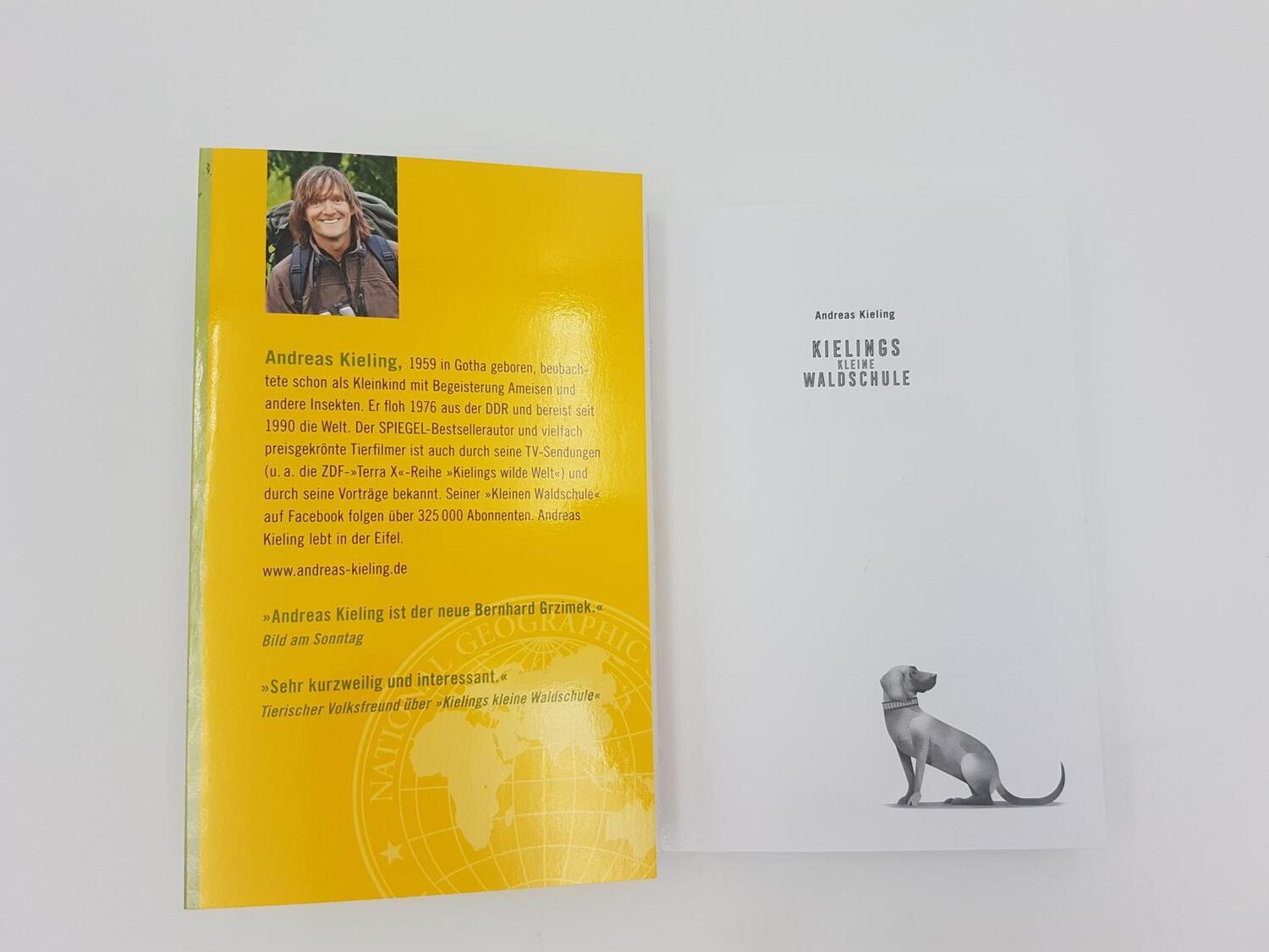 Bild: 9783492406529 | Kielings kleine Waldschule | Andreas Kieling | Taschenbuch | 208 S.