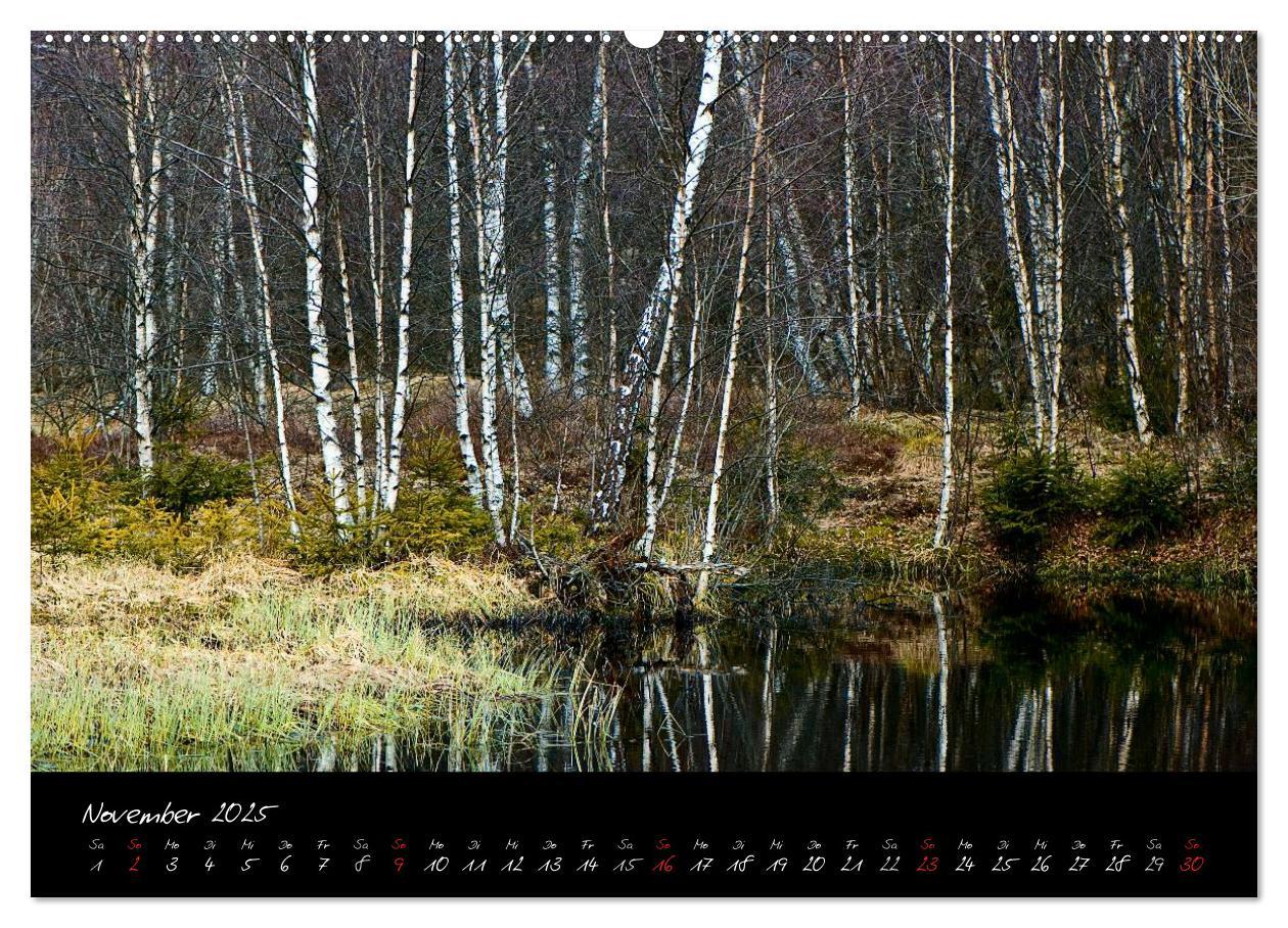 Bild: 9783435778546 | RHÖN = SCHÖN (Wandkalender 2025 DIN A2 quer), CALVENDO Monatskalender