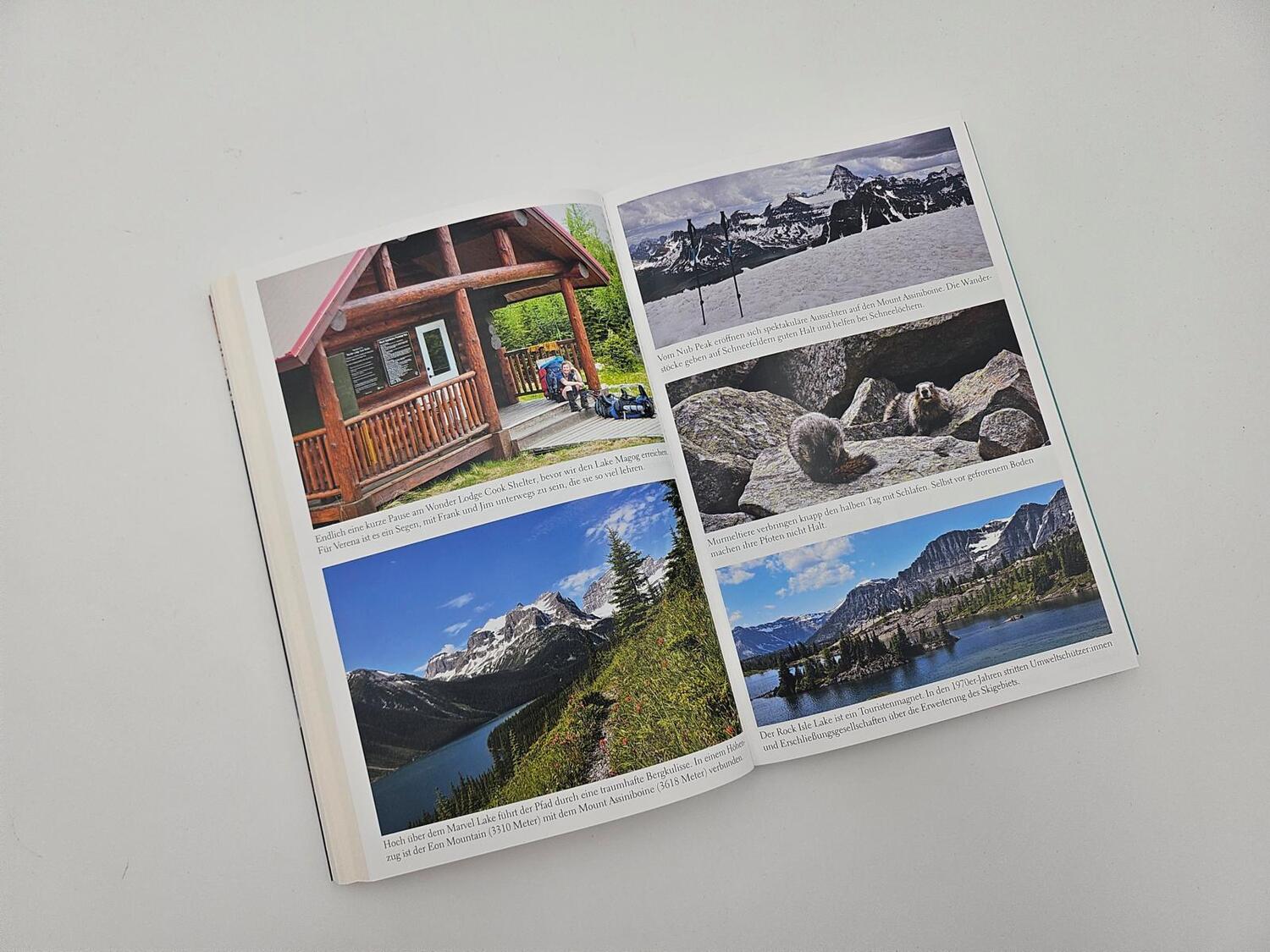 Bild: 9783890295893 | Zwei Sommer in den Rockies | Verena Schmidt (u. a.) | Taschenbuch