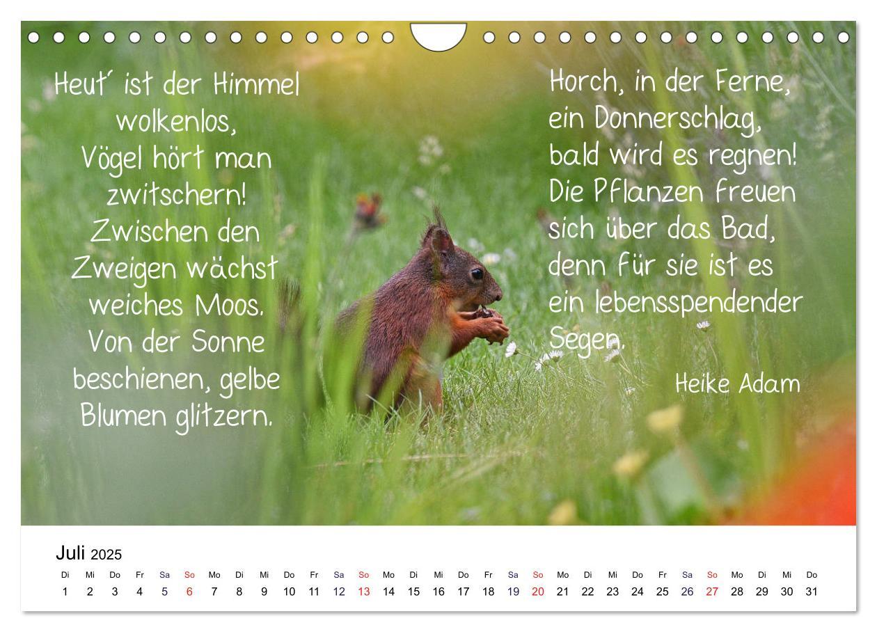 Bild: 9783435434244 | Der literarische Eichhörnchen-Kalender (Wandkalender 2025 DIN A4...