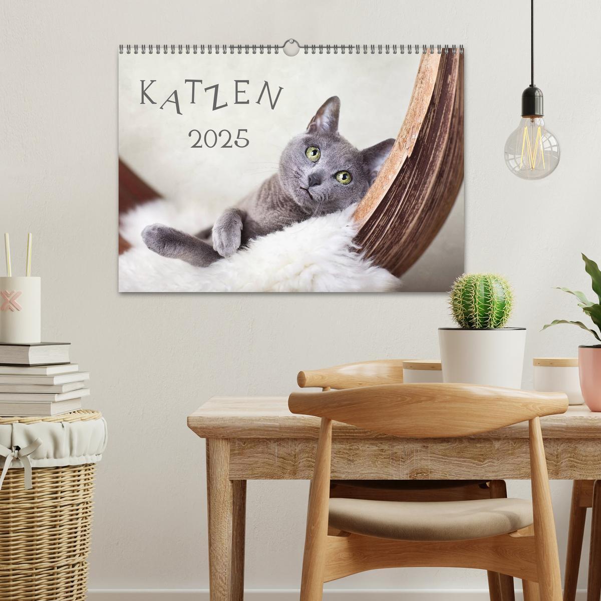 Bild: 9783435837335 | Katzen 2025 (Wandkalender 2025 DIN A3 quer), CALVENDO Monatskalender