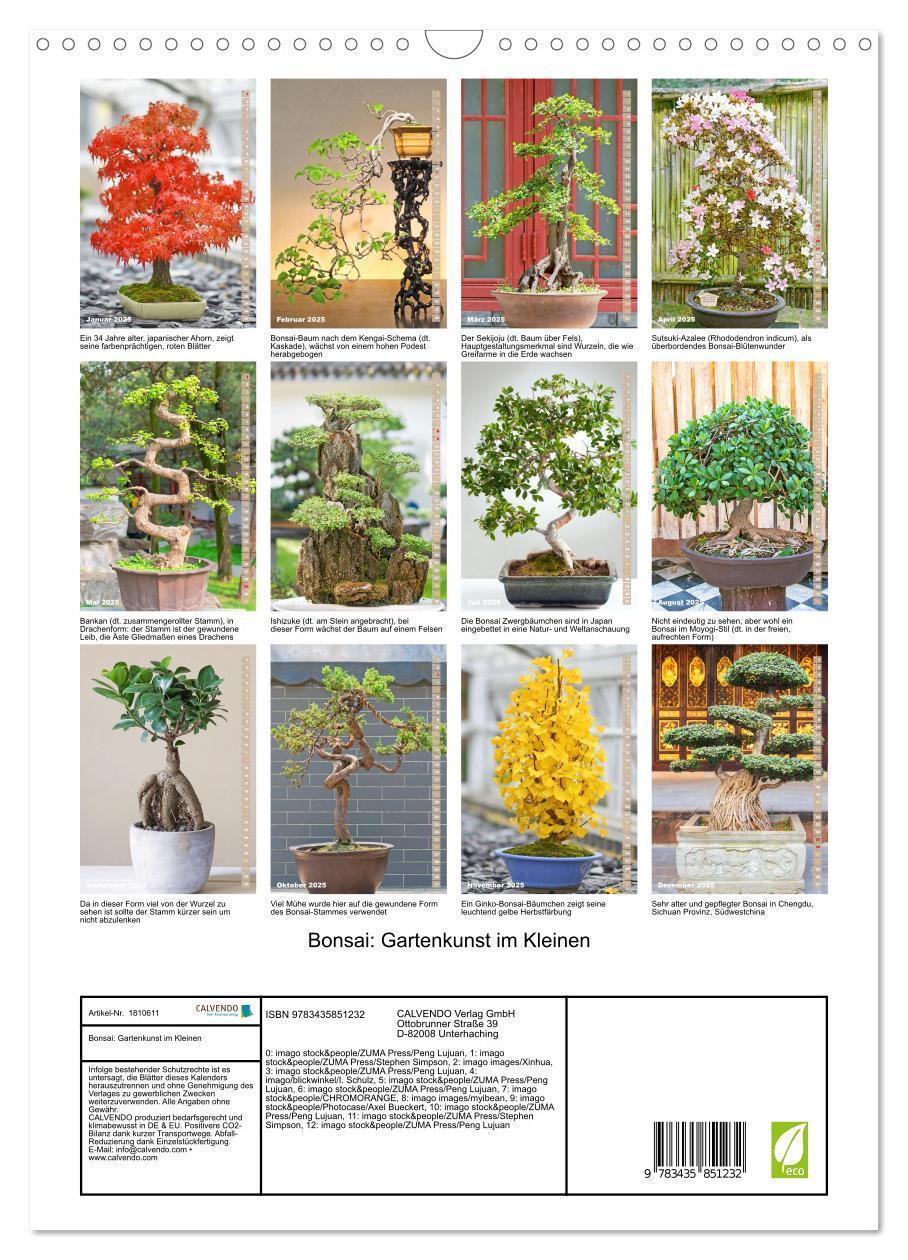 Bild: 9783435851232 | Bonsai: Gartenkunst im Kleinen (Wandkalender 2025 DIN A3 hoch),...