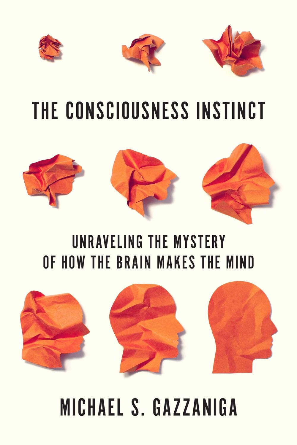 Cover: 9780374538156 | The Consciousness Instinct | Michael S Gazzaniga | Taschenbuch | 2019