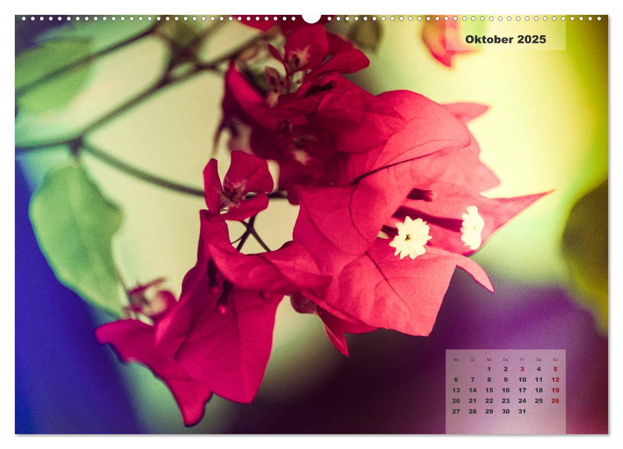 Bild: 9783435304523 | Blüten im Retro-Style (Wandkalender 2025 DIN A2 quer), CALVENDO...