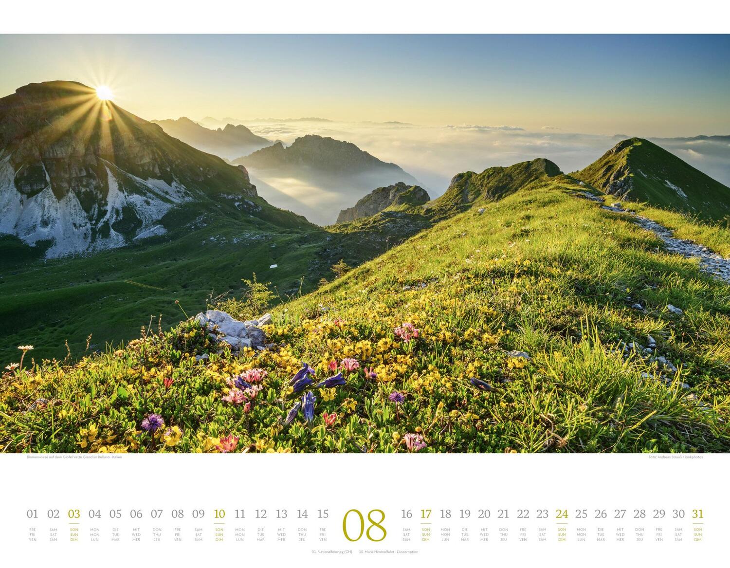 Bild: 9783838425382 | Morgenlicht Kalender 2025 | Ackermann Kunstverlag | Kalender | 14 S.