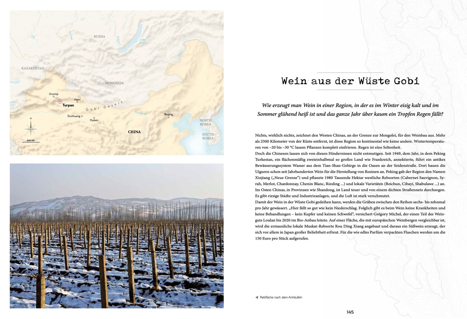 Bild: 9782361955281 | Atlas der außergewöhnlichen Weine | Pierrick Bourgault | Taschenbuch