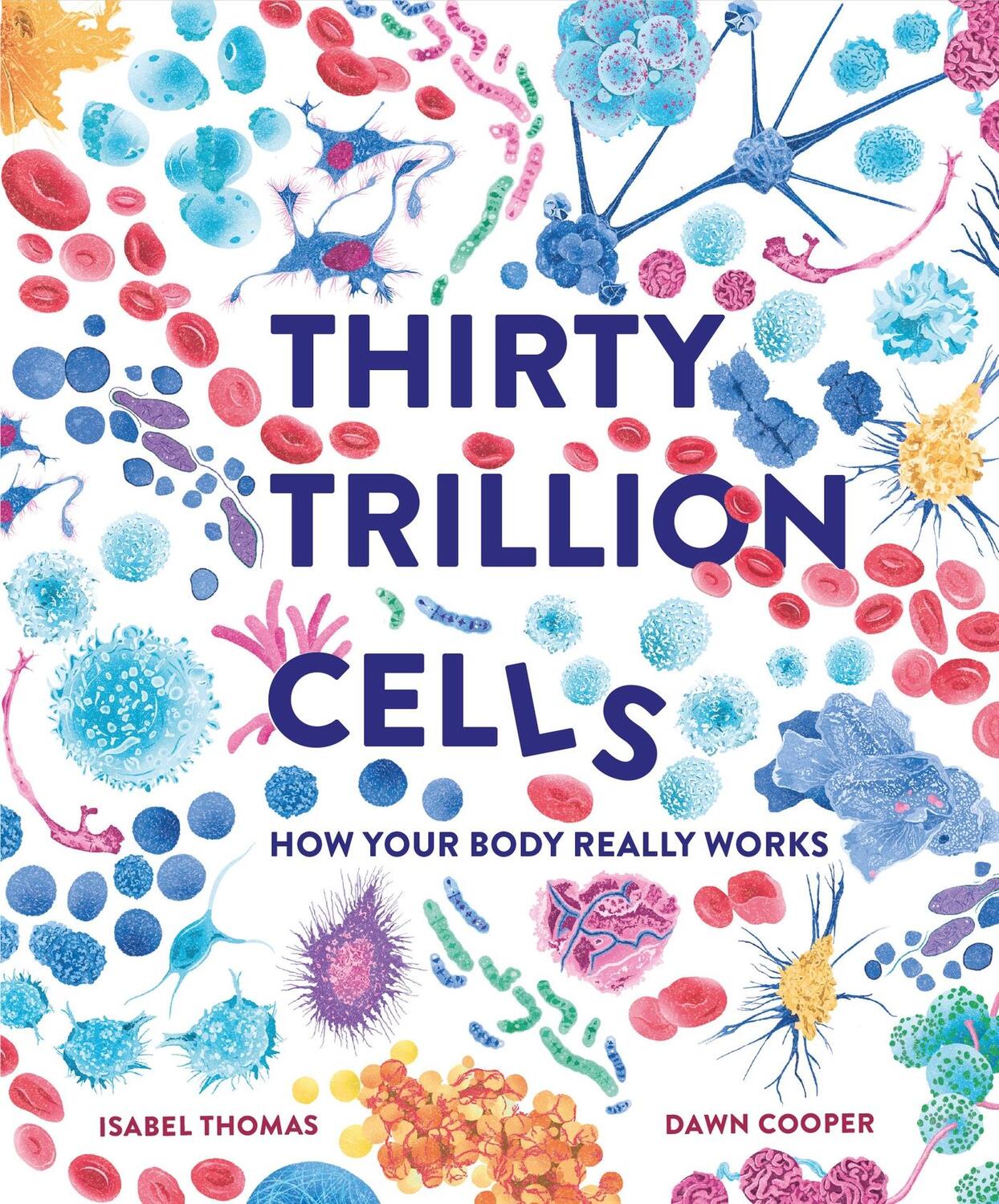 Cover: 9781803380995 | Thirty Trillion Cells | How Your Body Really Works | Isabel Thomas