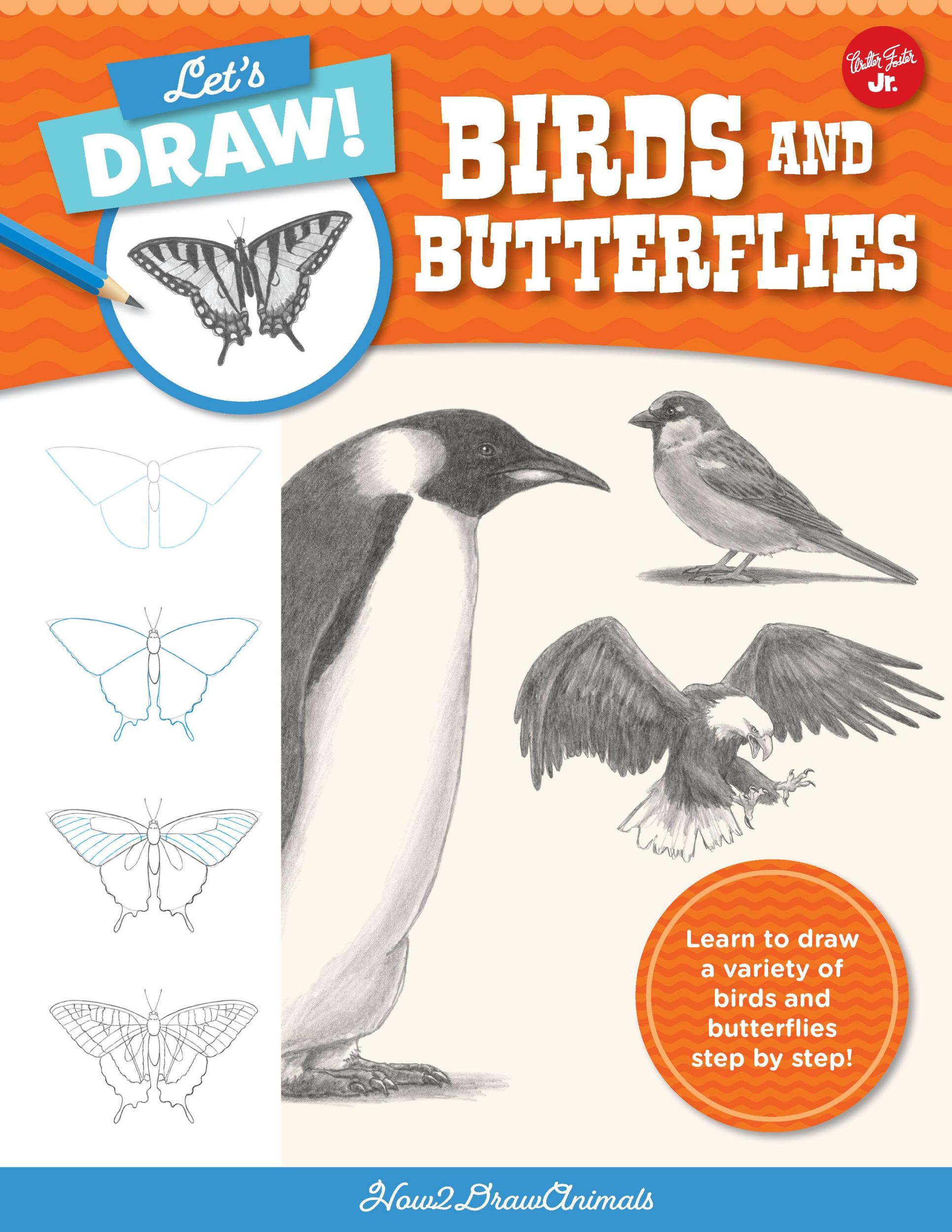 Cover: 9780760380789 | Let's Draw Birds &amp; Butterflies | How2drawanimals | Taschenbuch | 2022