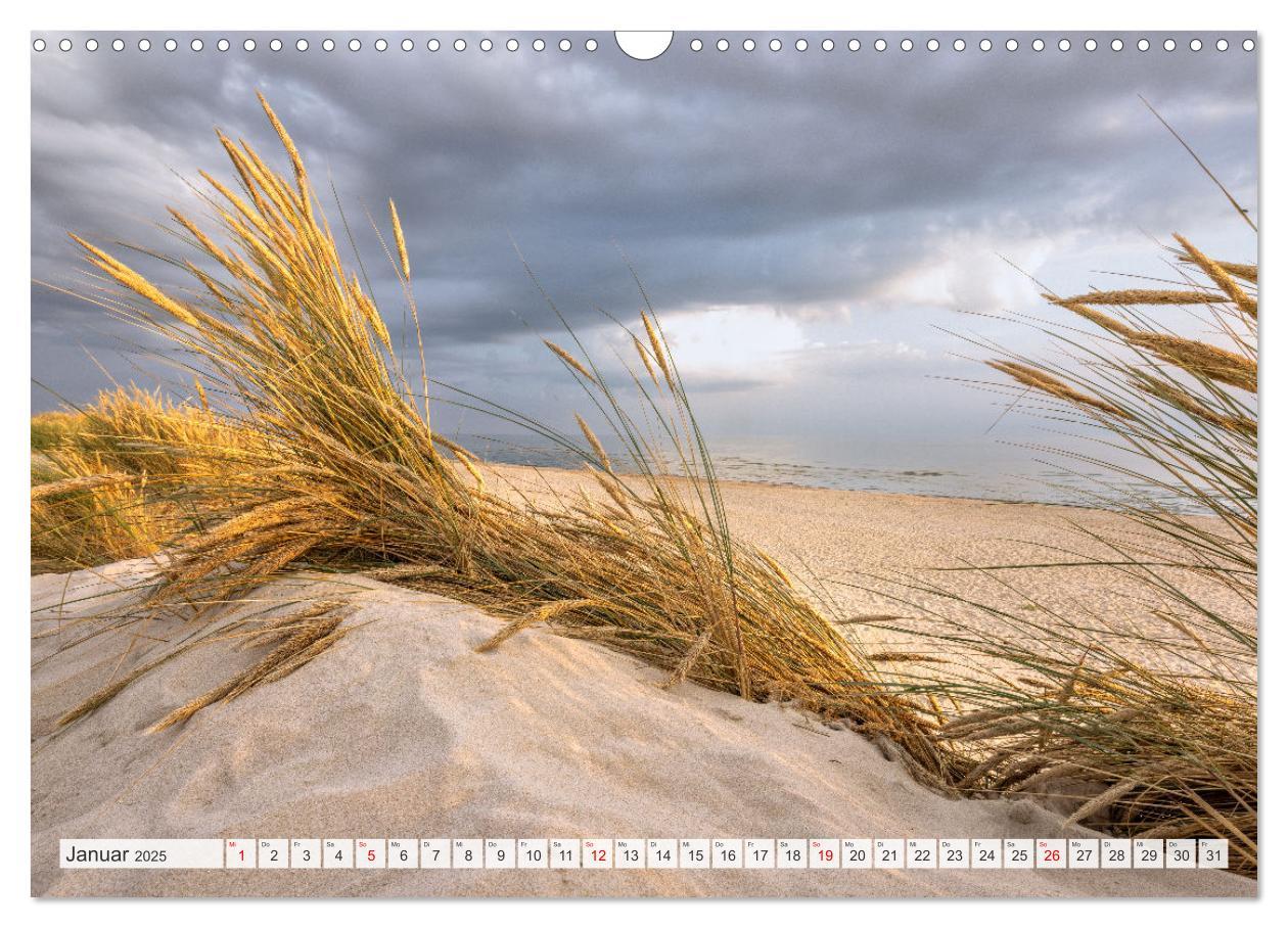 Bild: 9783383938610 | Blåvand - Dänemarks Paradies am Nordseestrand (Wandkalender 2025...