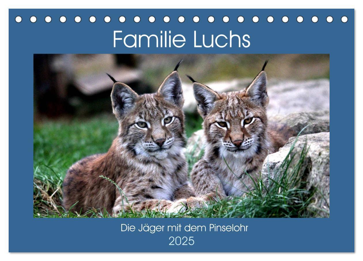 Cover: 9783435419715 | Familie Luchs - Die Jäger mit dem Pinselohr (Tischkalender 2025 DIN...