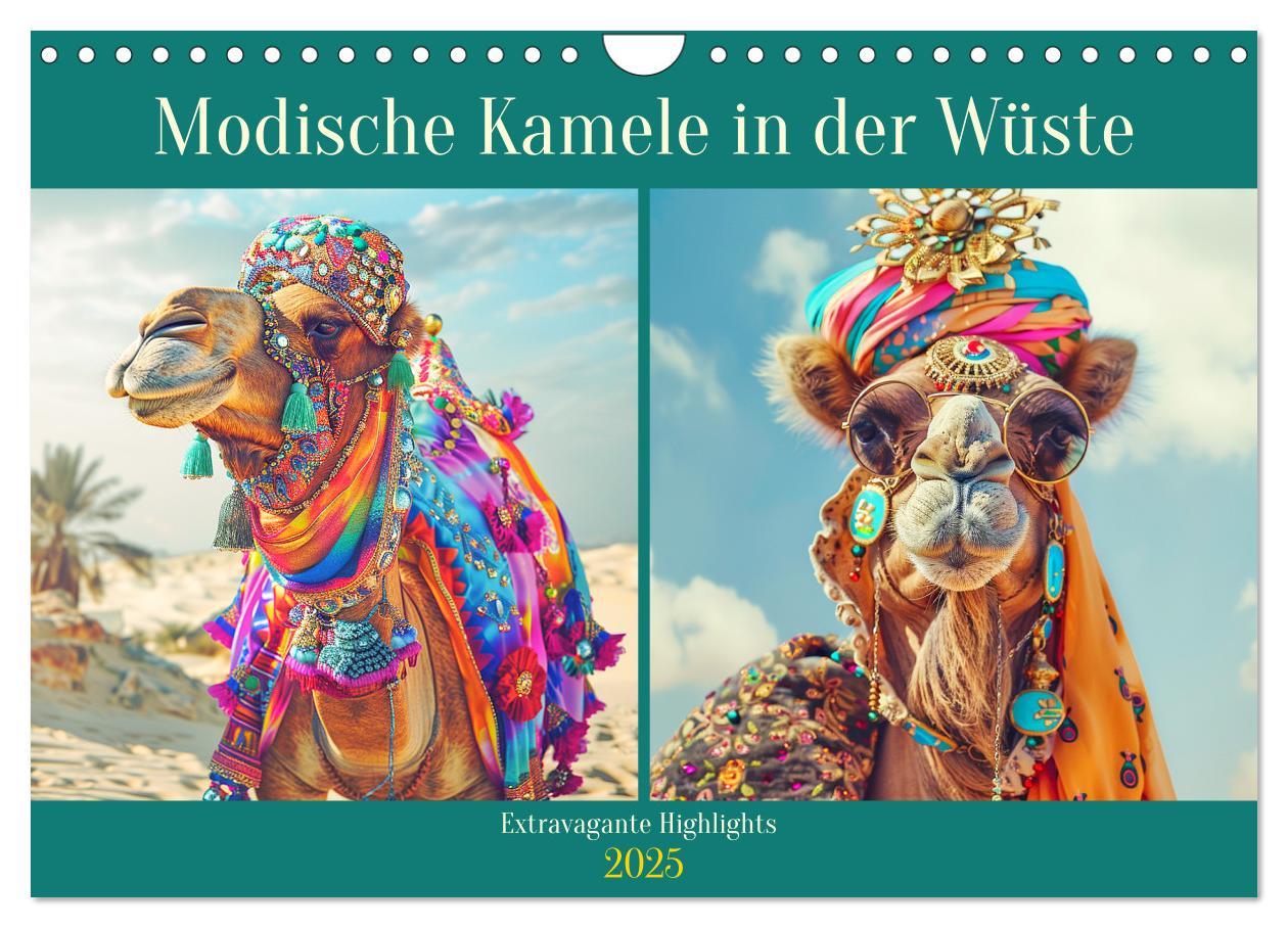 Cover: 9783435242306 | Modische Kamele in der Wüste. Extravagante Highlights (Wandkalender...