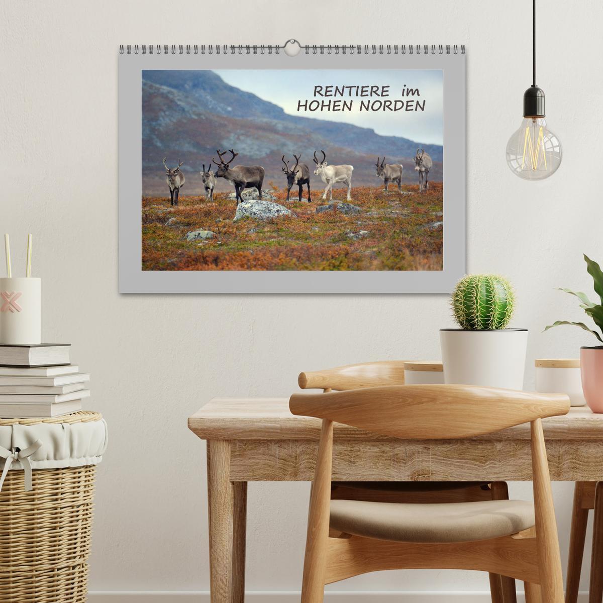 Bild: 9783435278336 | Rentiere im Hohen Norden (Wandkalender 2025 DIN A3 quer), CALVENDO...