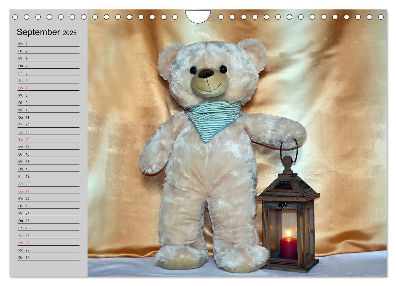 Bild: 9783435496068 | TEDDYBÄR, OH TEDDYBÄR... (Wandkalender 2025 DIN A4 quer), CALVENDO...