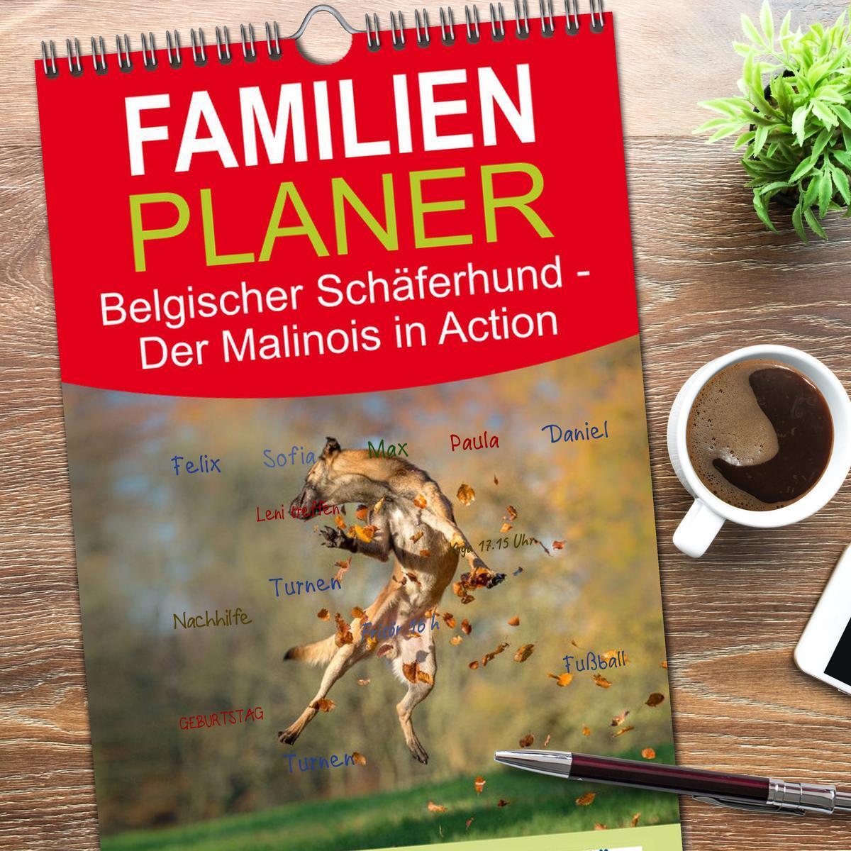 Bild: 9783457112113 | Familienplaner 2025 - Belgischer Schäferhund - Der Malinois in...