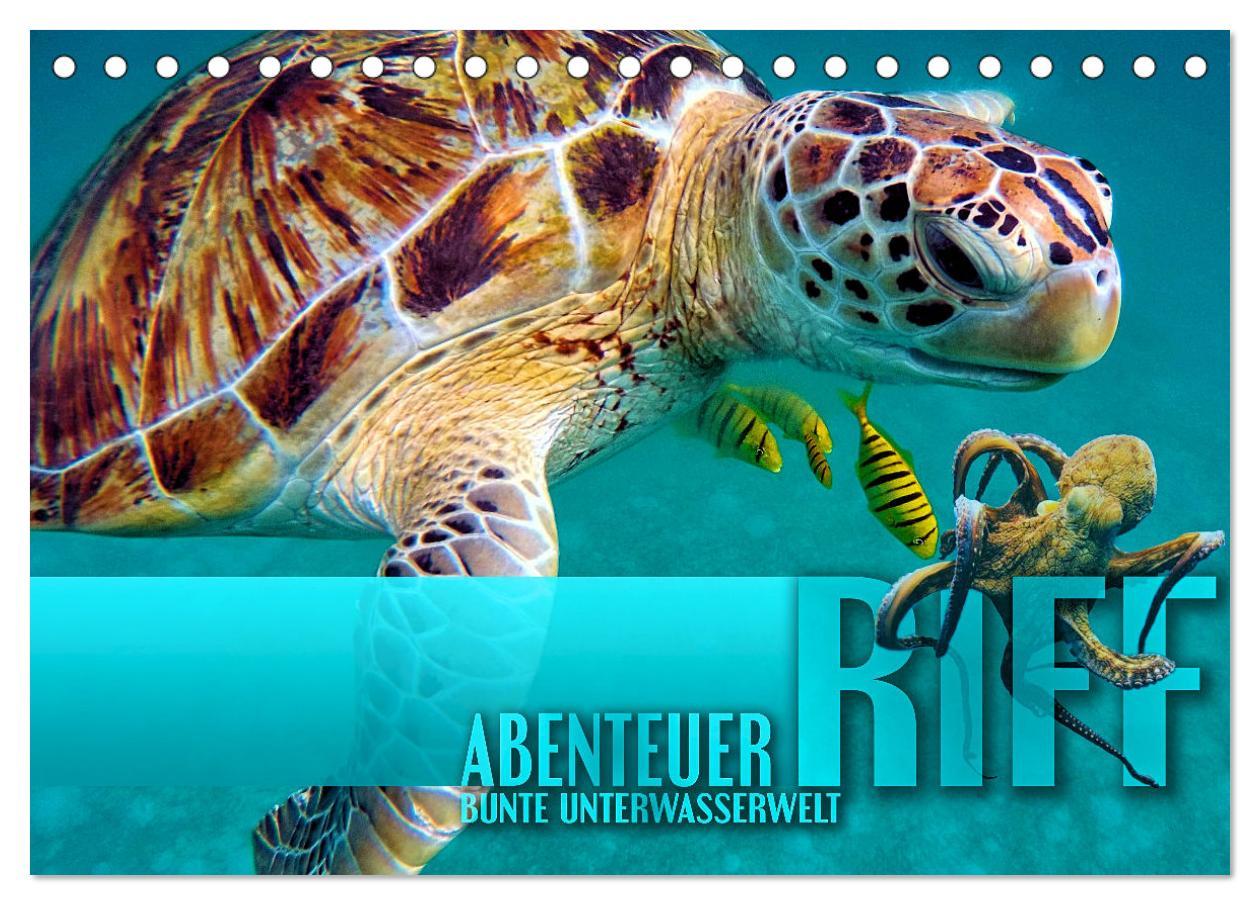 Cover: 9783383978982 | Abenteuer Riff - bunte Unterwasserwelt (Tischkalender 2025 DIN A5...