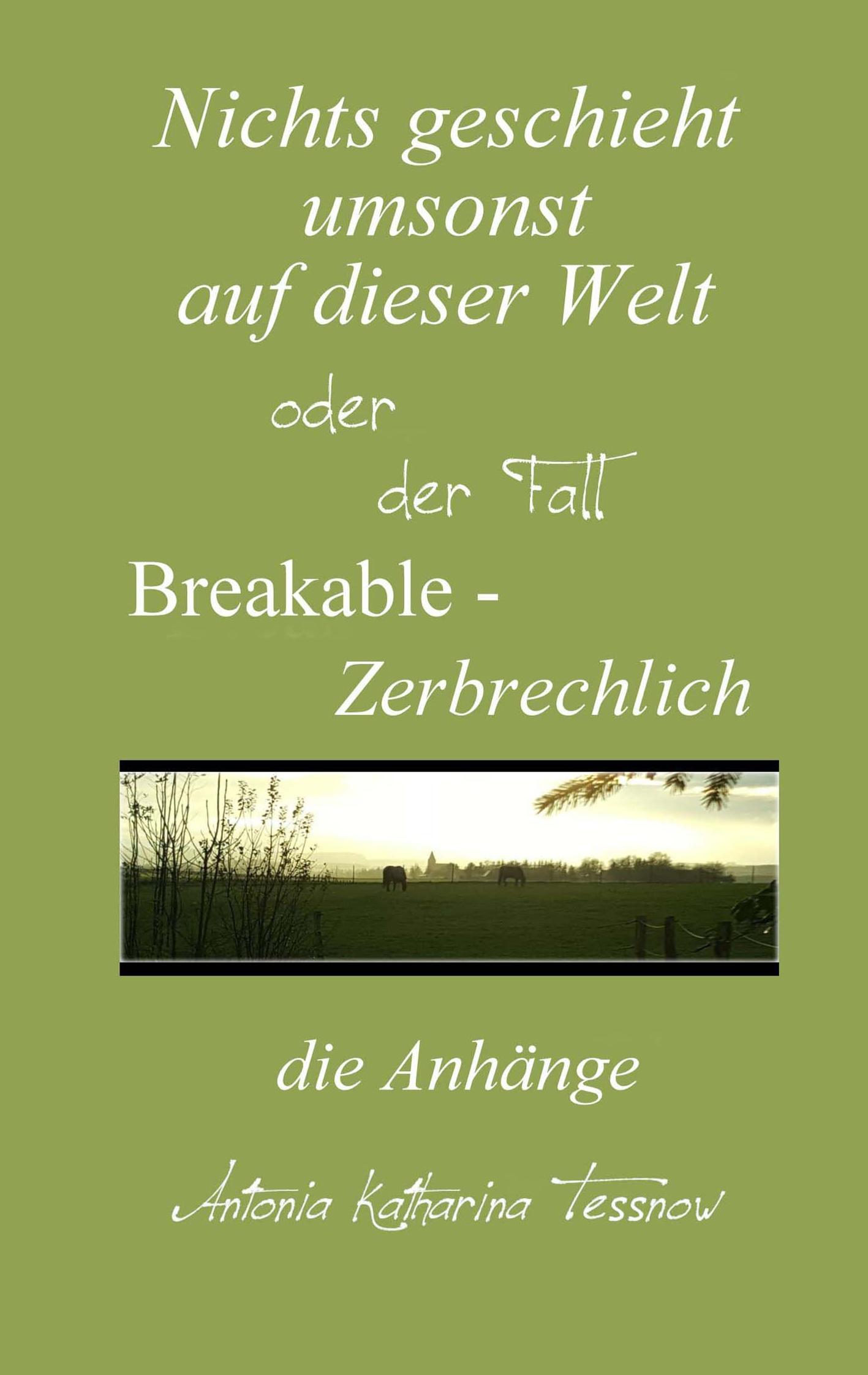 Cover: 9783740752187 | Nichts geschieht umsonst auf dieser Welt | Antonia Katharina Tessnow