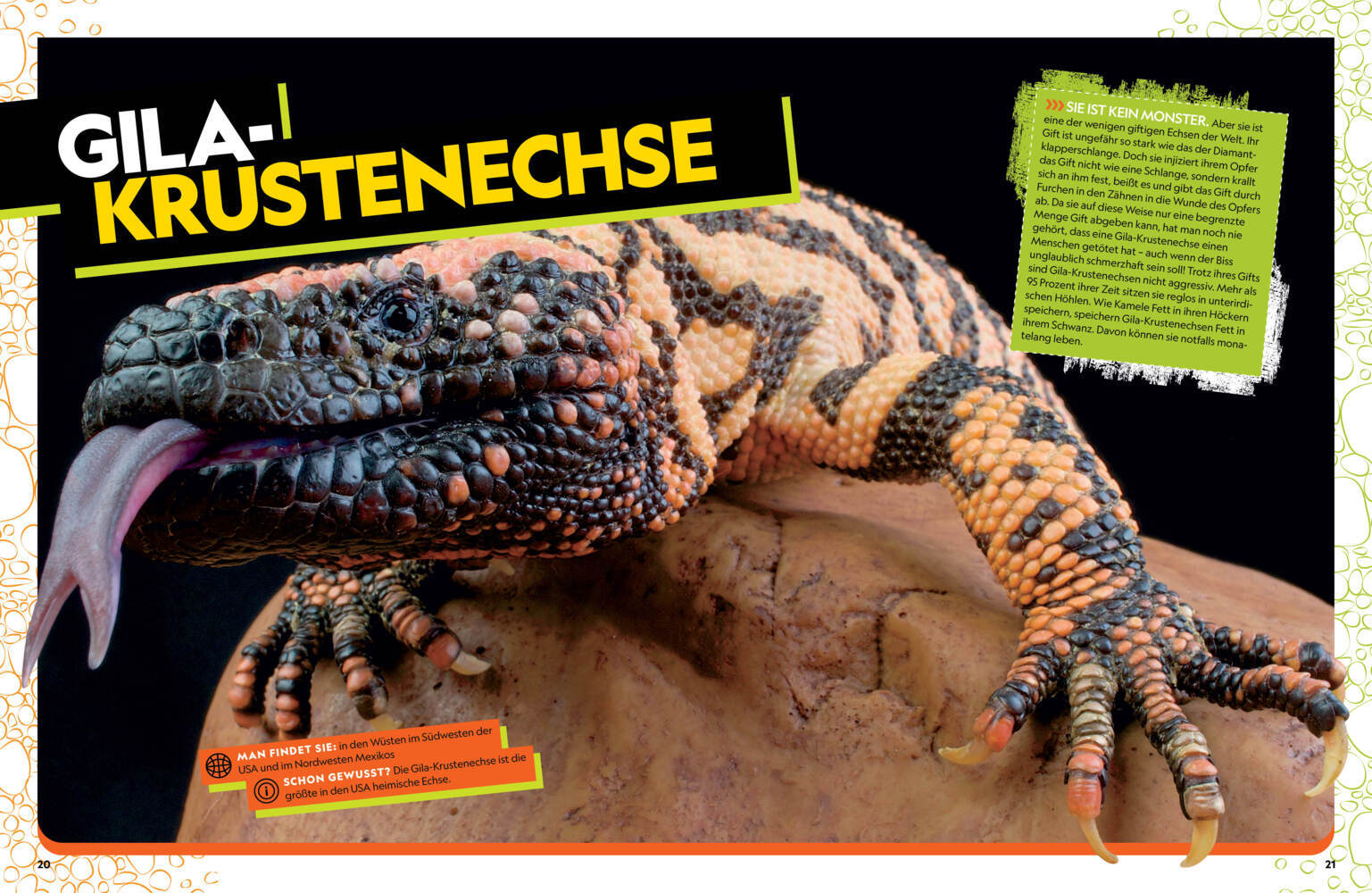 Bild: 9788863126273 | Das ultimative Buch der Reptilien, Die umfassendste Enzyklopädie...