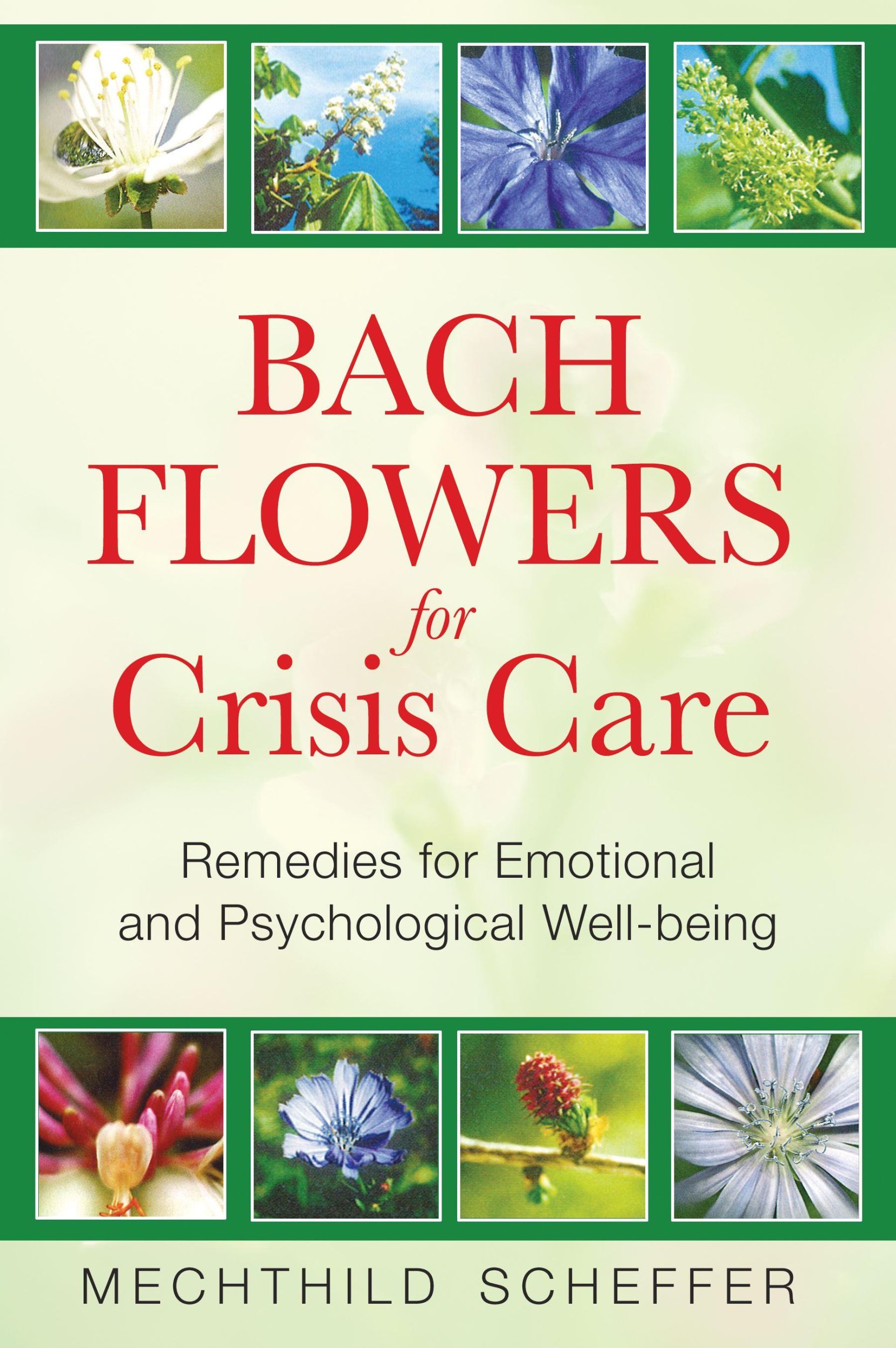 Cover: 9781594772962 | Bach Flowers for Crisis Care | Mechthild Scheffer | Taschenbuch | 2009