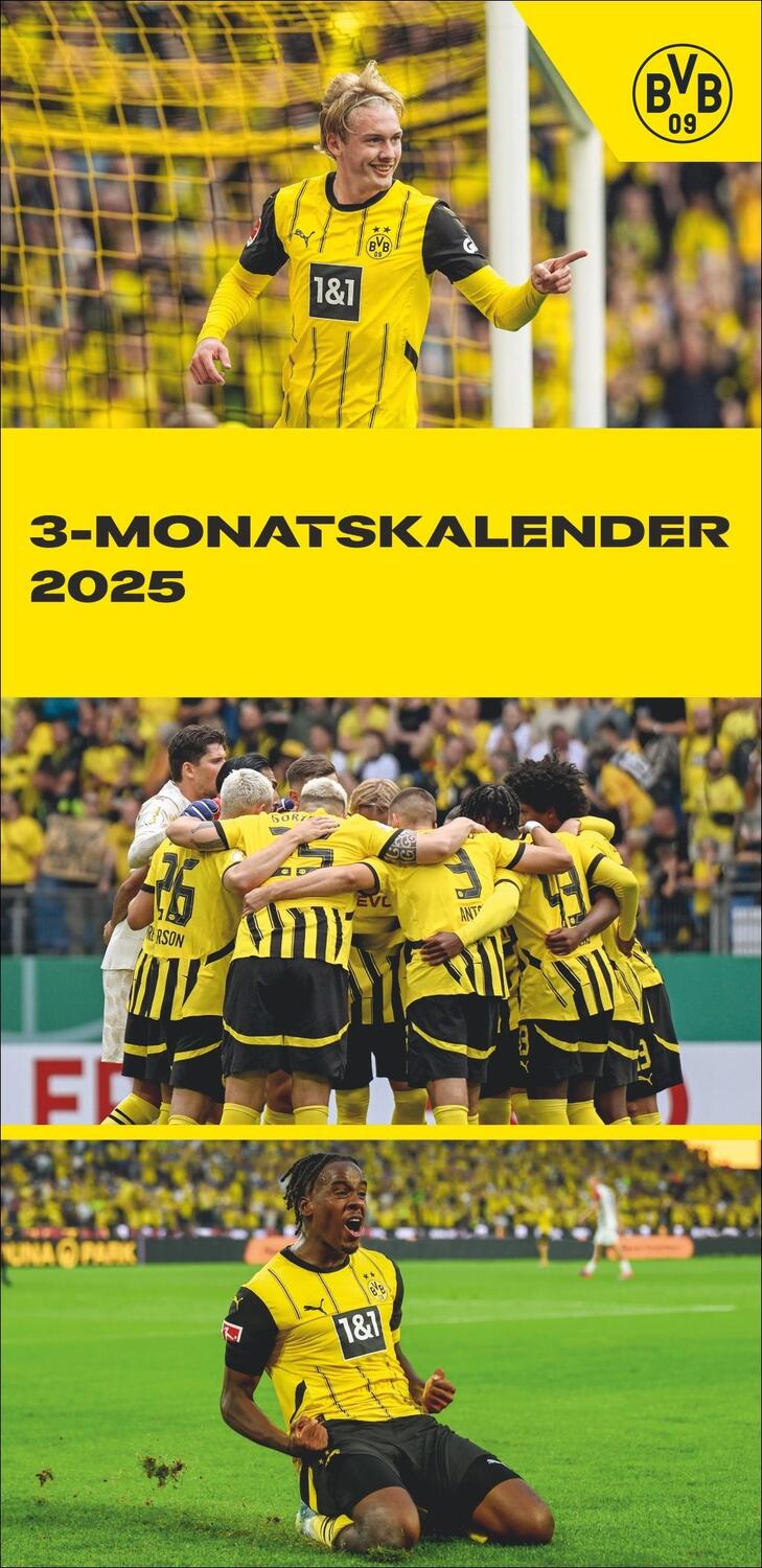 Cover: 9783756413348 | BVB 3-Monats-Planer 2025 | Kalender | 14 S. | Deutsch | 2025 | Heye