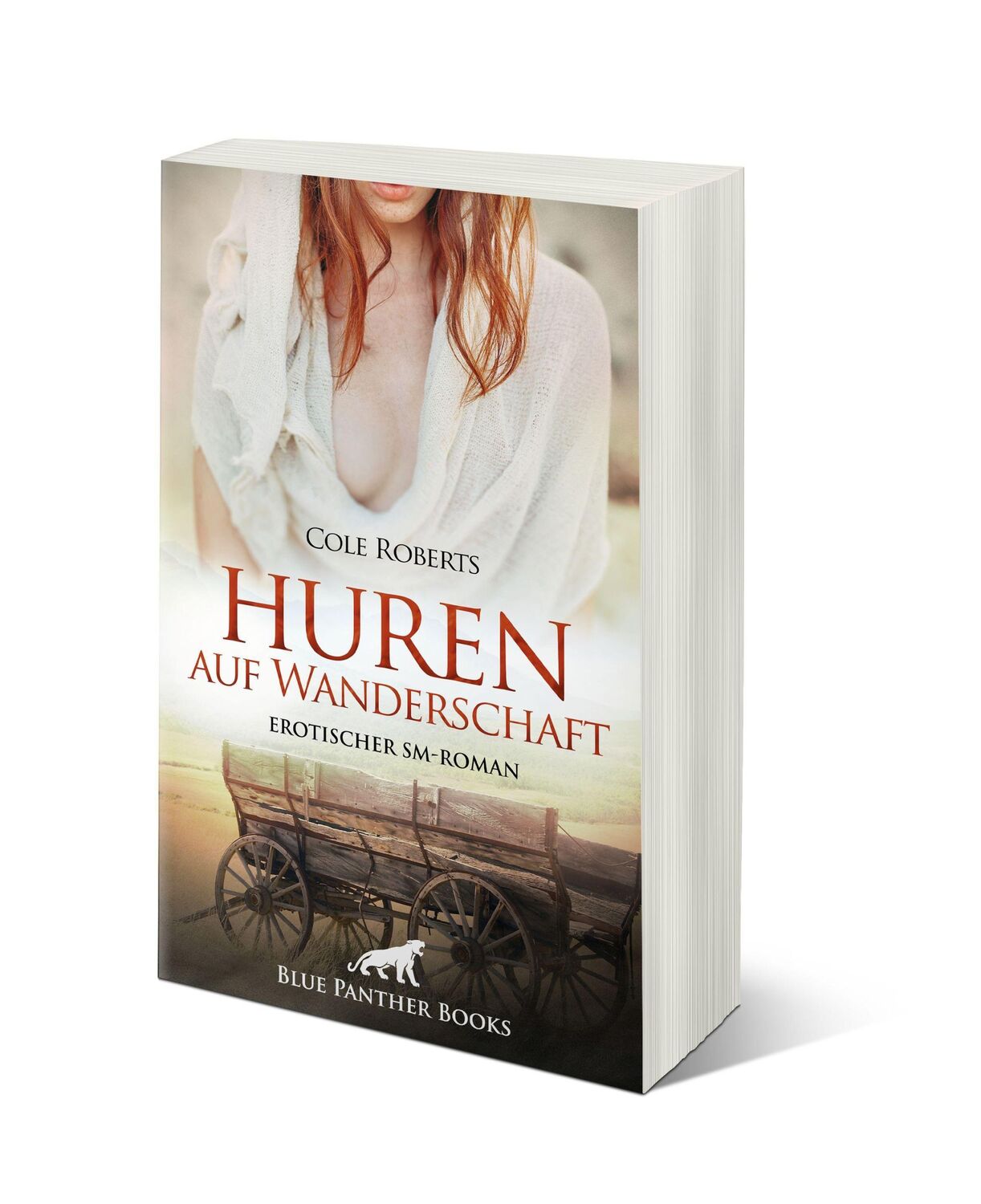 Bild: 9783750725393 | Huren auf Wanderschaft Erotischer SM-Roman | Cole Roberts | Buch