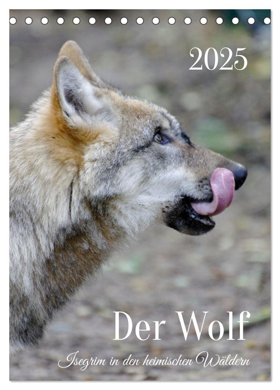 Cover: 9783435882335 | Der Wolf - Isegrim in den heimischen Wäldern - Kalender 2025...