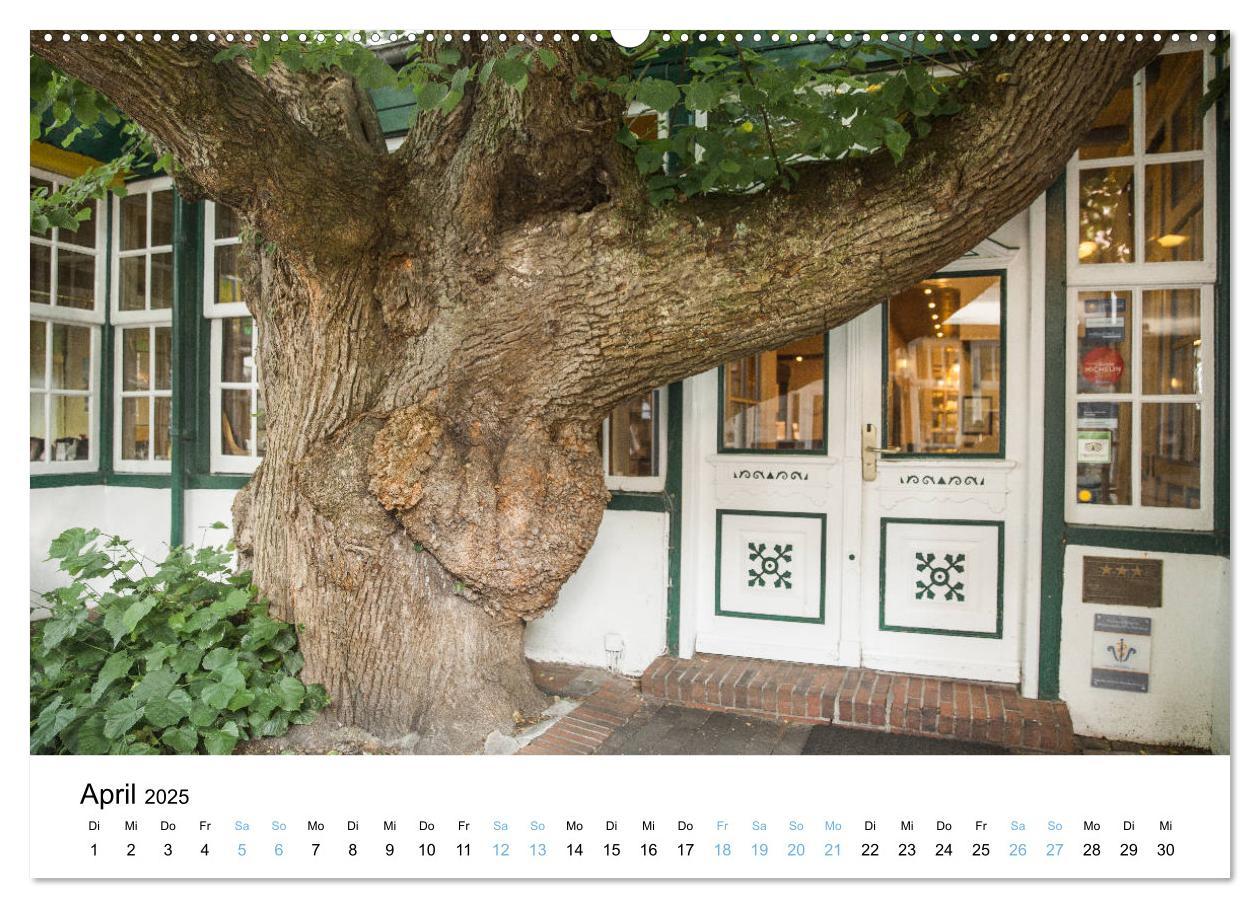 Bild: 9783435370689 | Lieblingsinsel Spiekeroog (hochwertiger Premium Wandkalender 2025...