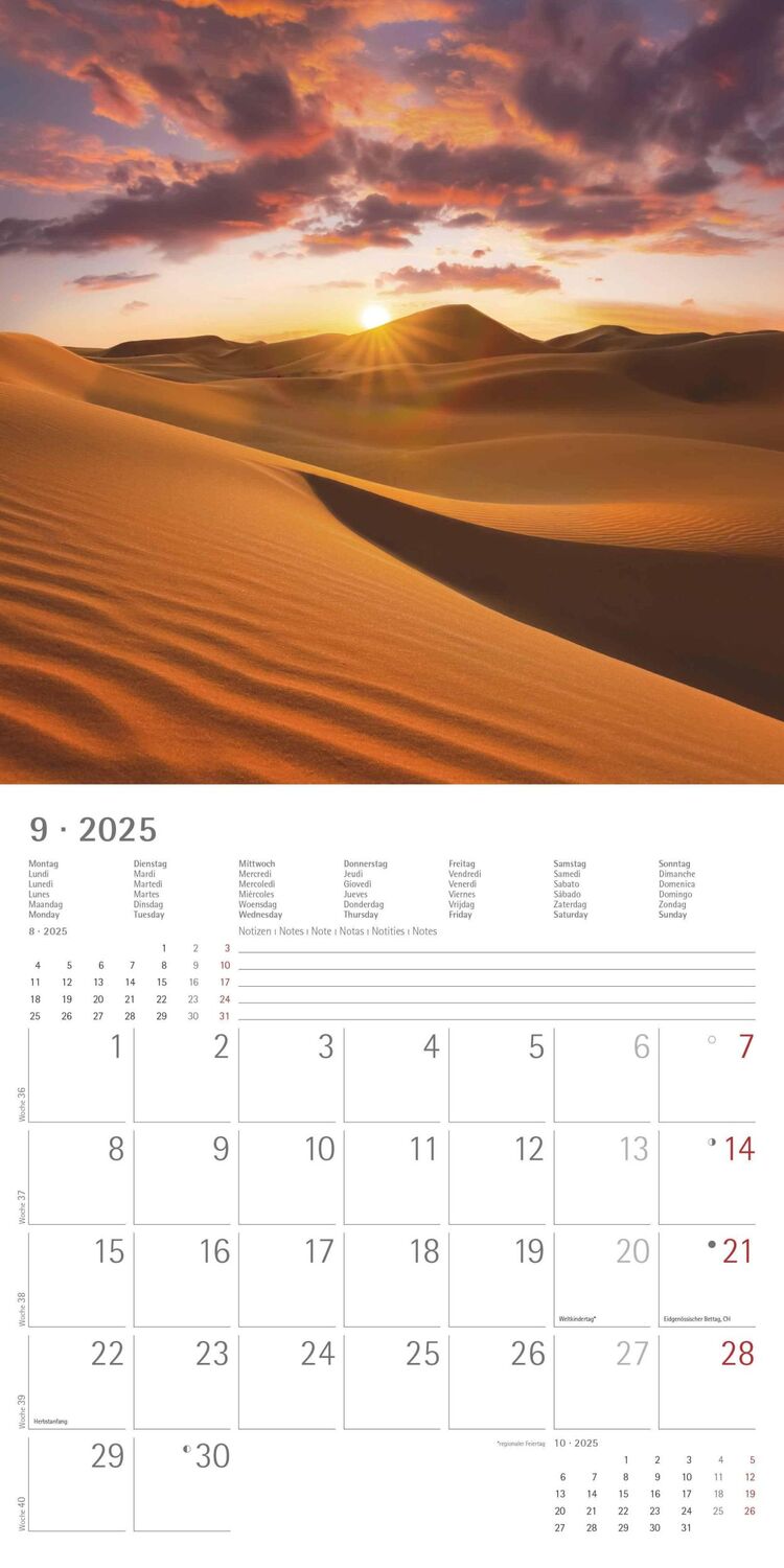 Bild: 4251732340902 | Sunny Moments 2025 - Broschürenkalender 30x30 cm (30x60 geöffnet) -...