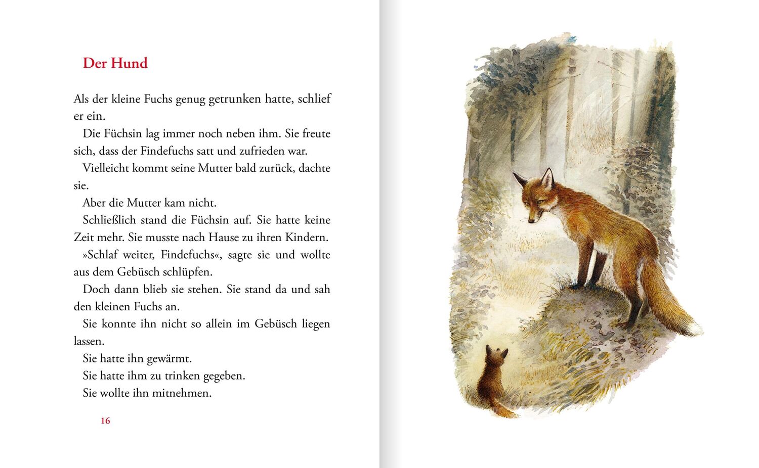 Bild: 9783423763462 | Der Findefuchs | Irina Korschunow | Buch | 48 S. | Deutsch | 2021