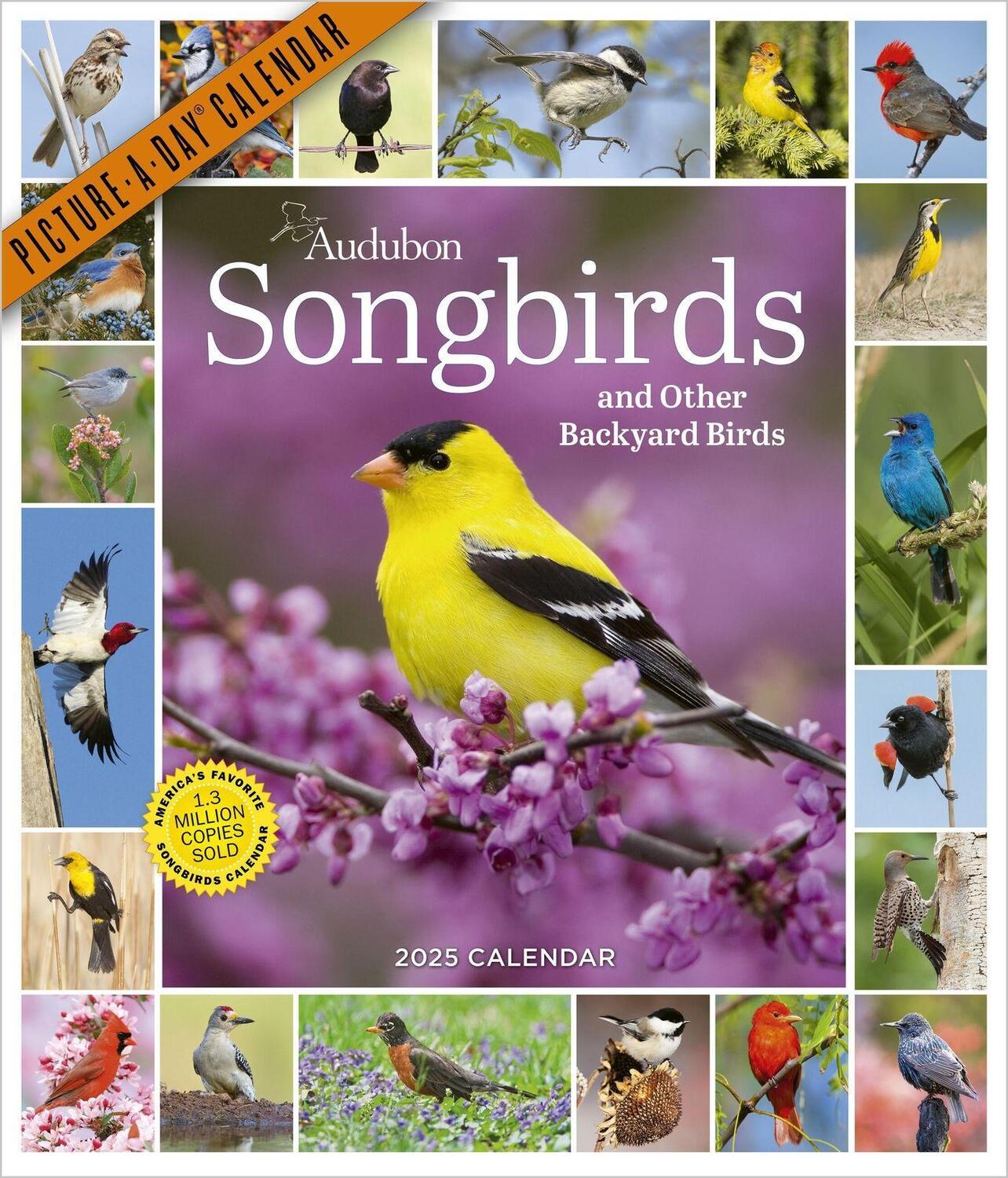 Cover: 9781523526314 | Audubon Songbirds and Other Backyard Birds Picture-A-Day® Wall...