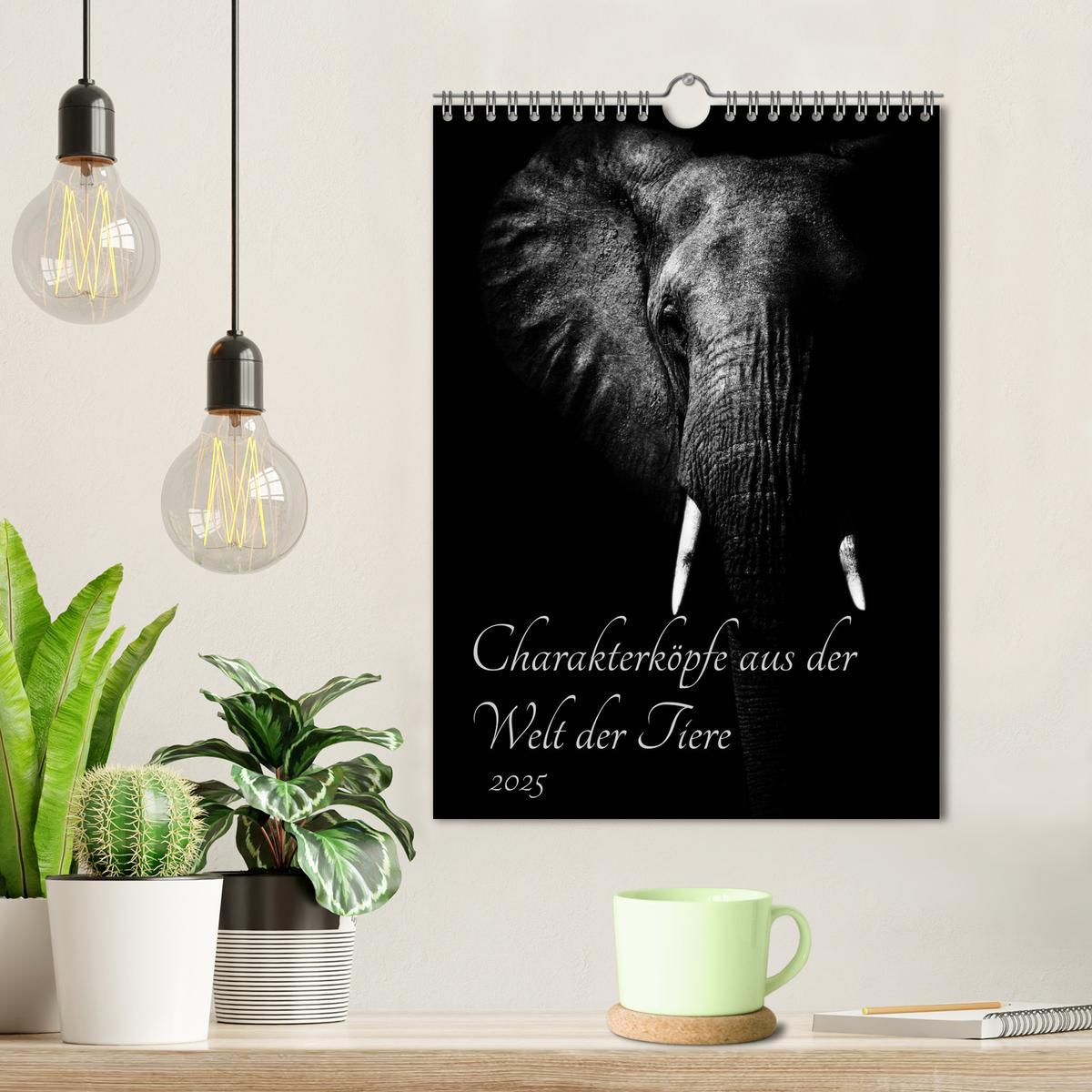 Bild: 9783457013533 | Charakterköpfe aus der Welt der Tiere (Wandkalender 2025 DIN A4...